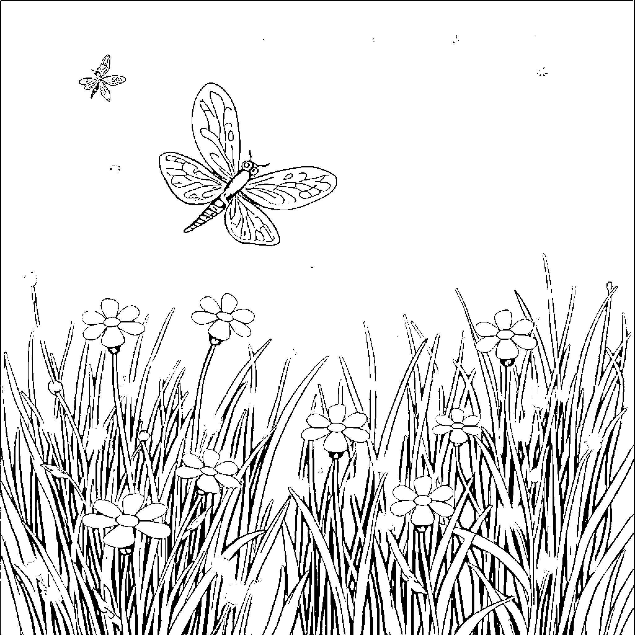 Firefly floating above flowers in meadow Coloring Page (free black-and-white line drawing printable PDF for all, from beginners to advanced learners, including children, teens, adults, and seniors)