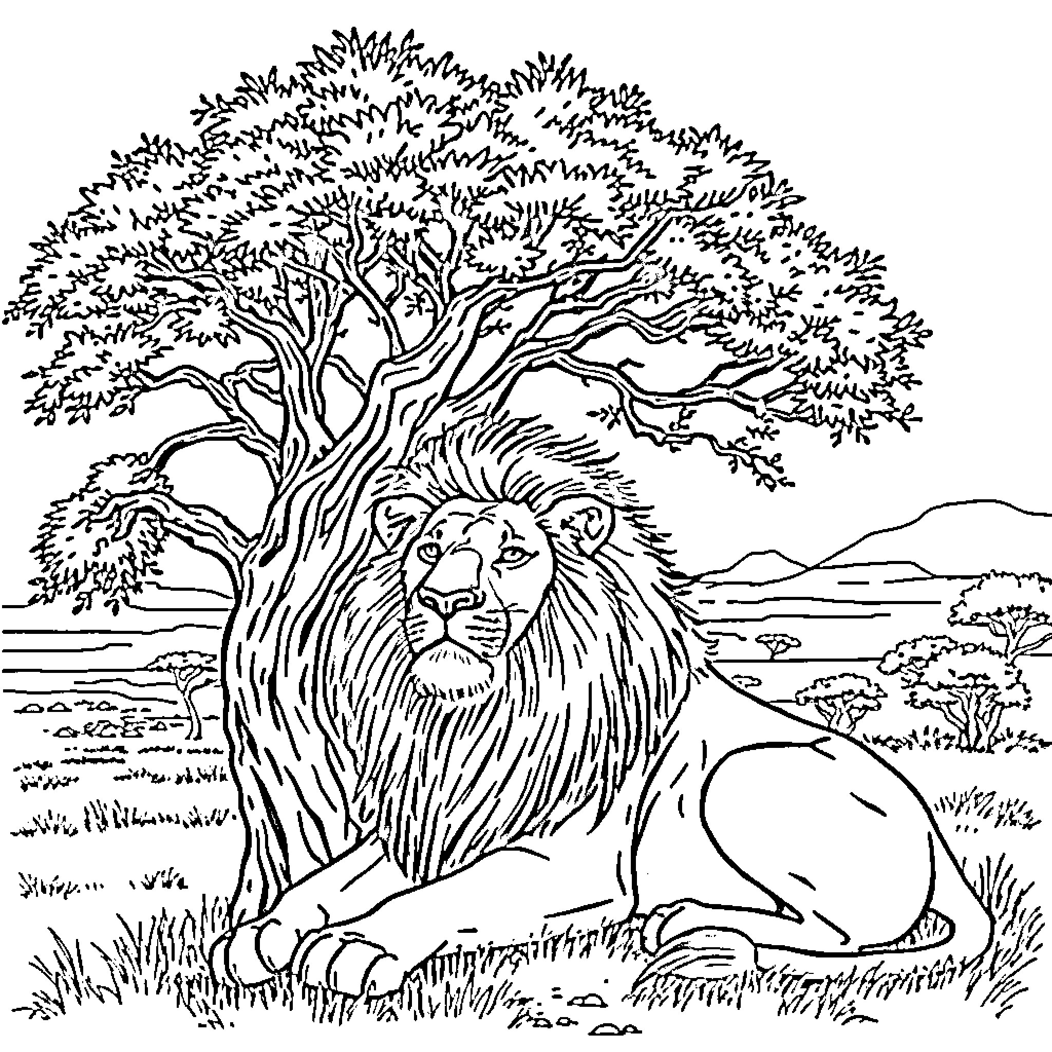 Lion resting under a large tree in a serene landscape Coloring Page (free black-and-white line drawing printable PDF for all, from beginners to advanced learners, including children, teens, adults, and seniors)