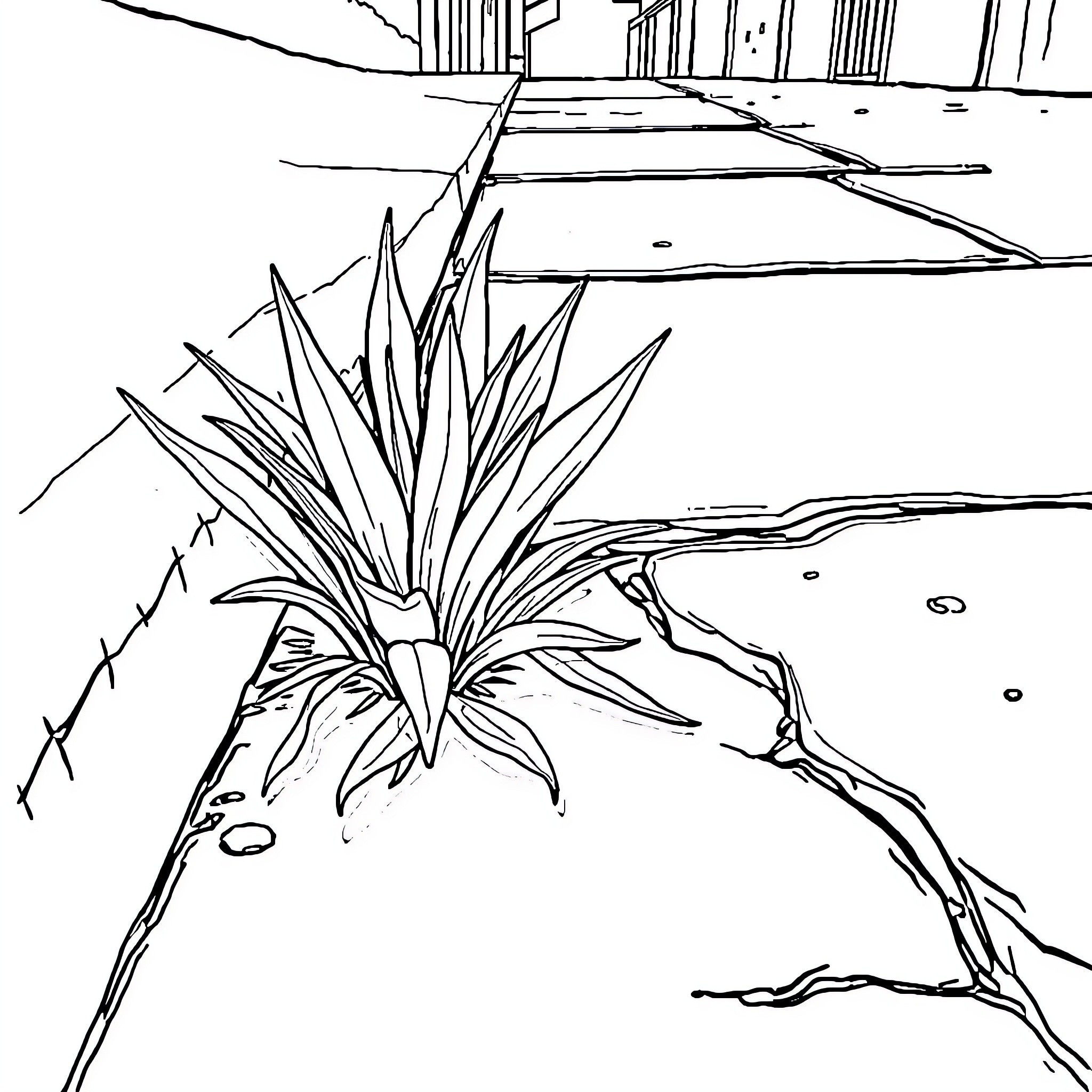 Weed growing through concrete in urban setting Coloring Page (free black-and-white line drawing printable PDF for all, from beginners to advanced learners, including children, teens, adults, and seniors)