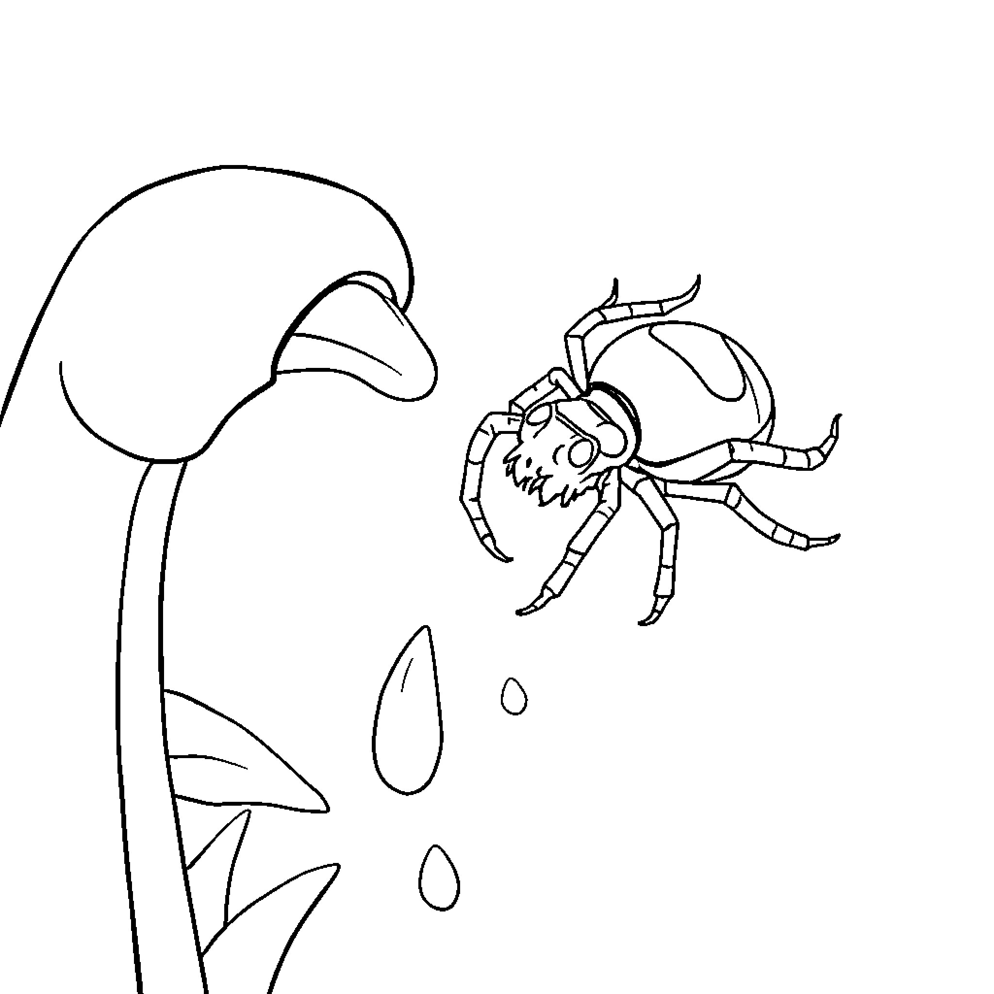 Spider scurrying through the undergrowth Coloring Page (free black-and-white line drawing printable PDF for all, from beginners to advanced learners, including children, teens, adults, and seniors)