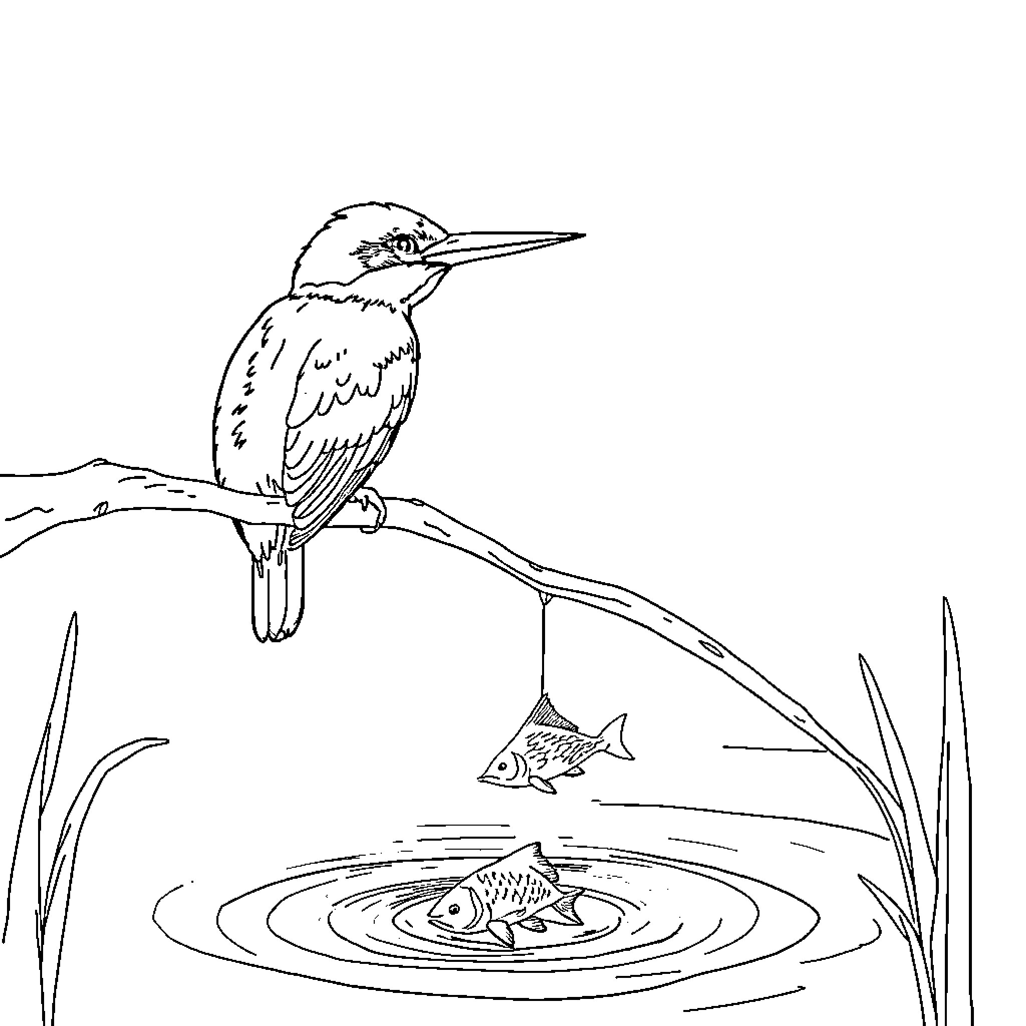 Kingfisher observing fish in a peaceful pond Coloring Page (free black-and-white line drawing printable PDF for all, from beginners to advanced learners, including children, teens, adults, and seniors)