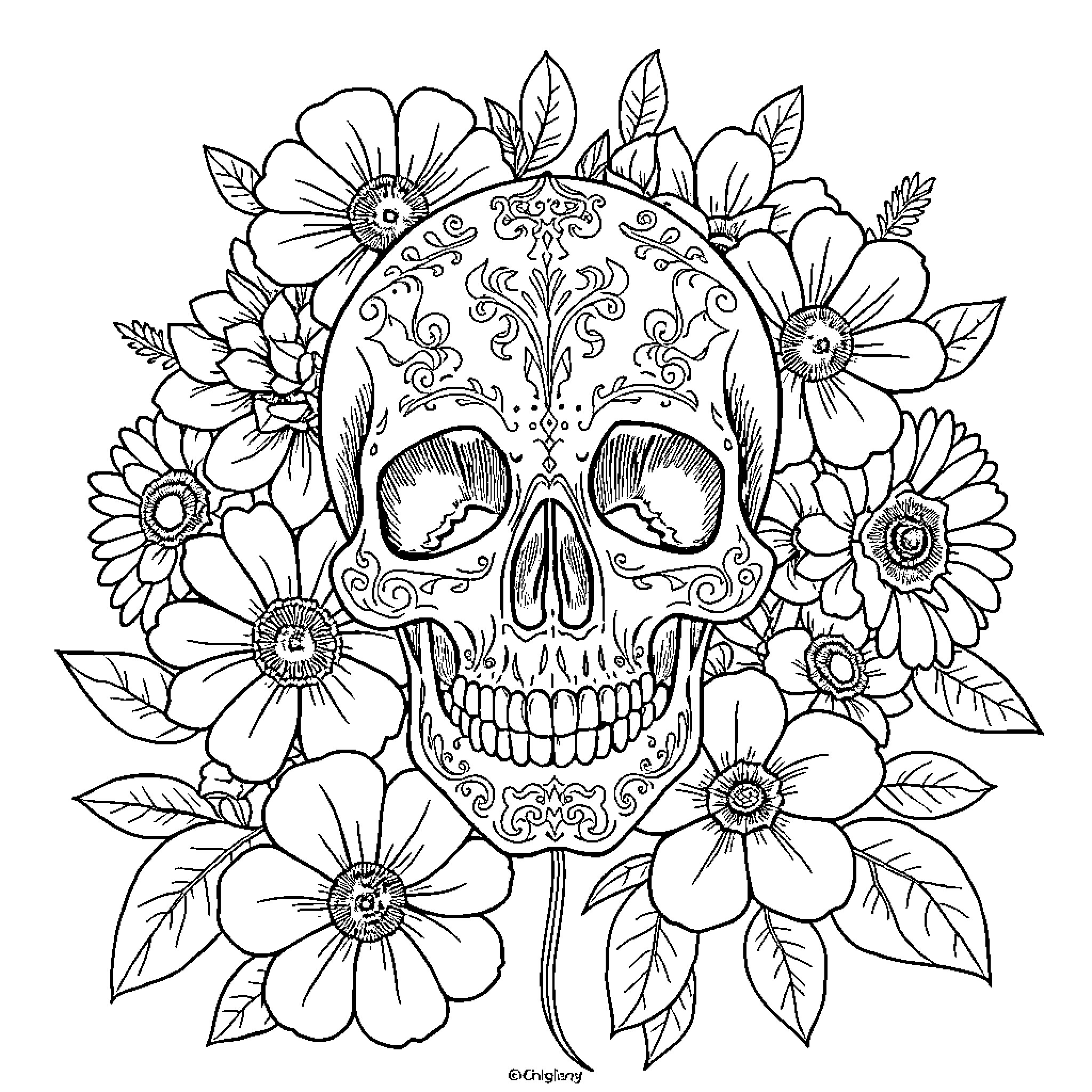 Skull surrounded by ornate floral designs Coloring Page (free black-and-white line drawing printable PDF for all, from beginners to advanced learners, including children, teens, adults, and seniors)