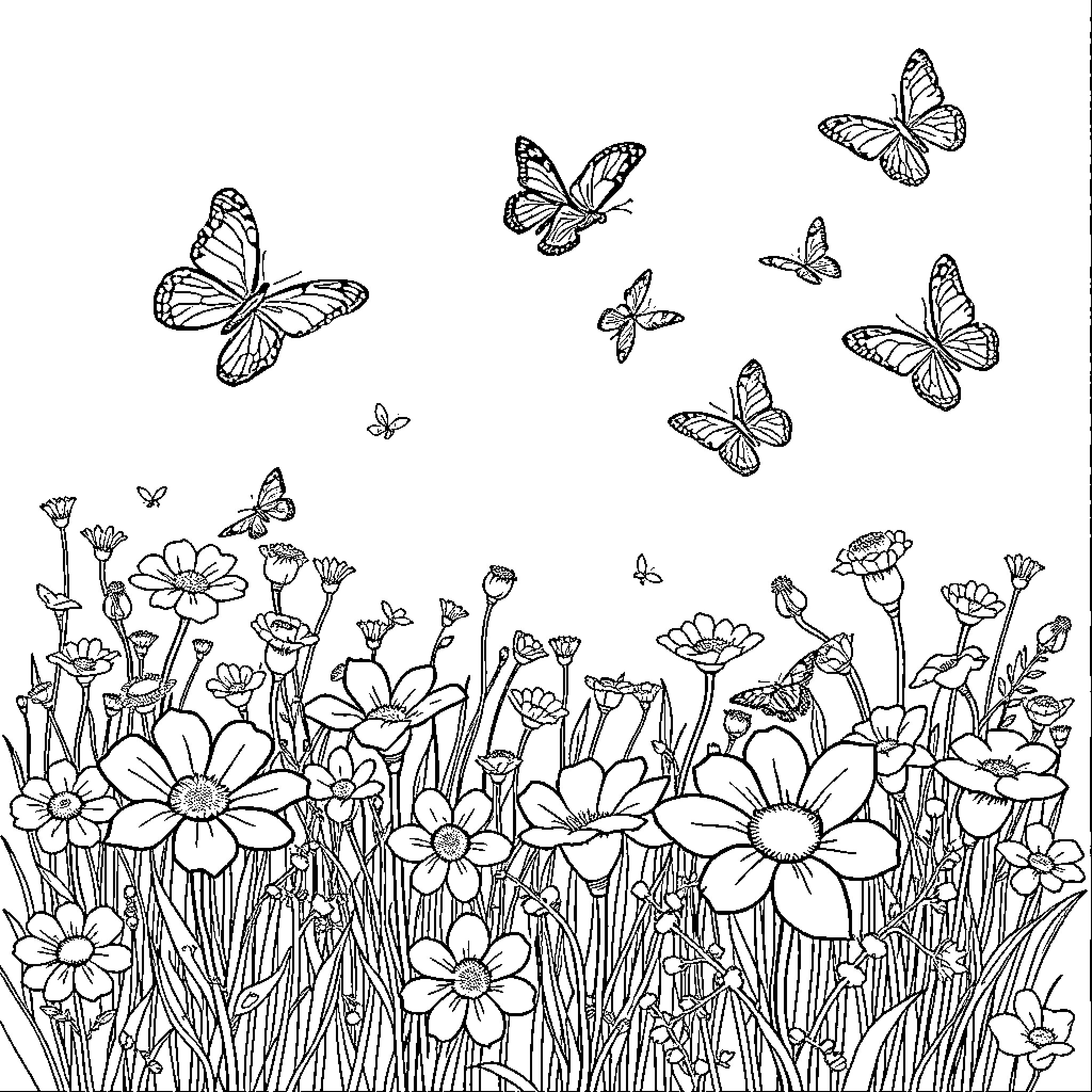 Butterfly Garden with Fluttering Flowers Coloring Page (free black-and-white line drawing printable PDF for all, from beginners to advanced learners, including children, teens, adults, and seniors)