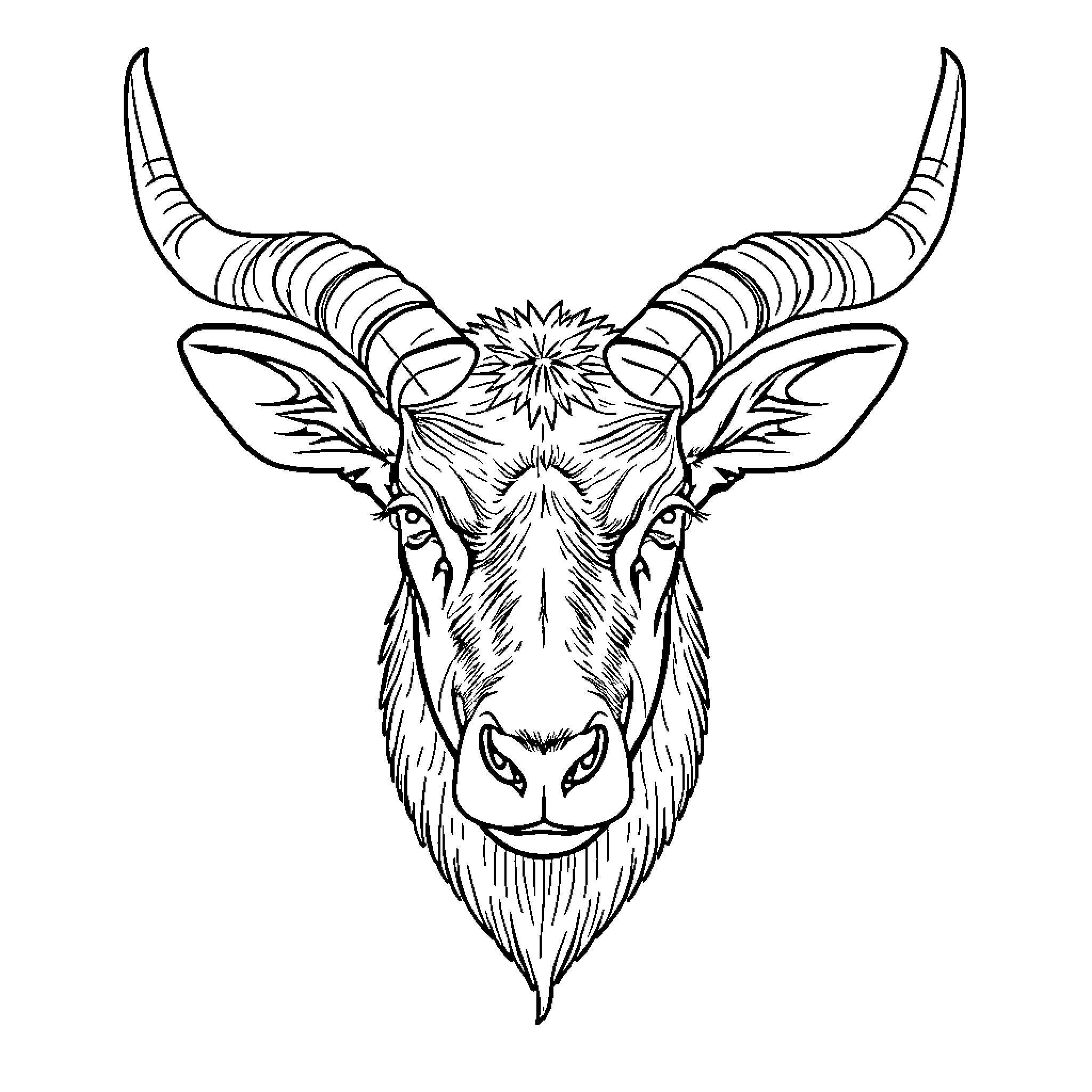 Deer with intricate horns and expressive features Coloring Page (free black-and-white line drawing printable PDF for all, from beginners to advanced learners, including children, teens, adults, and seniors)
