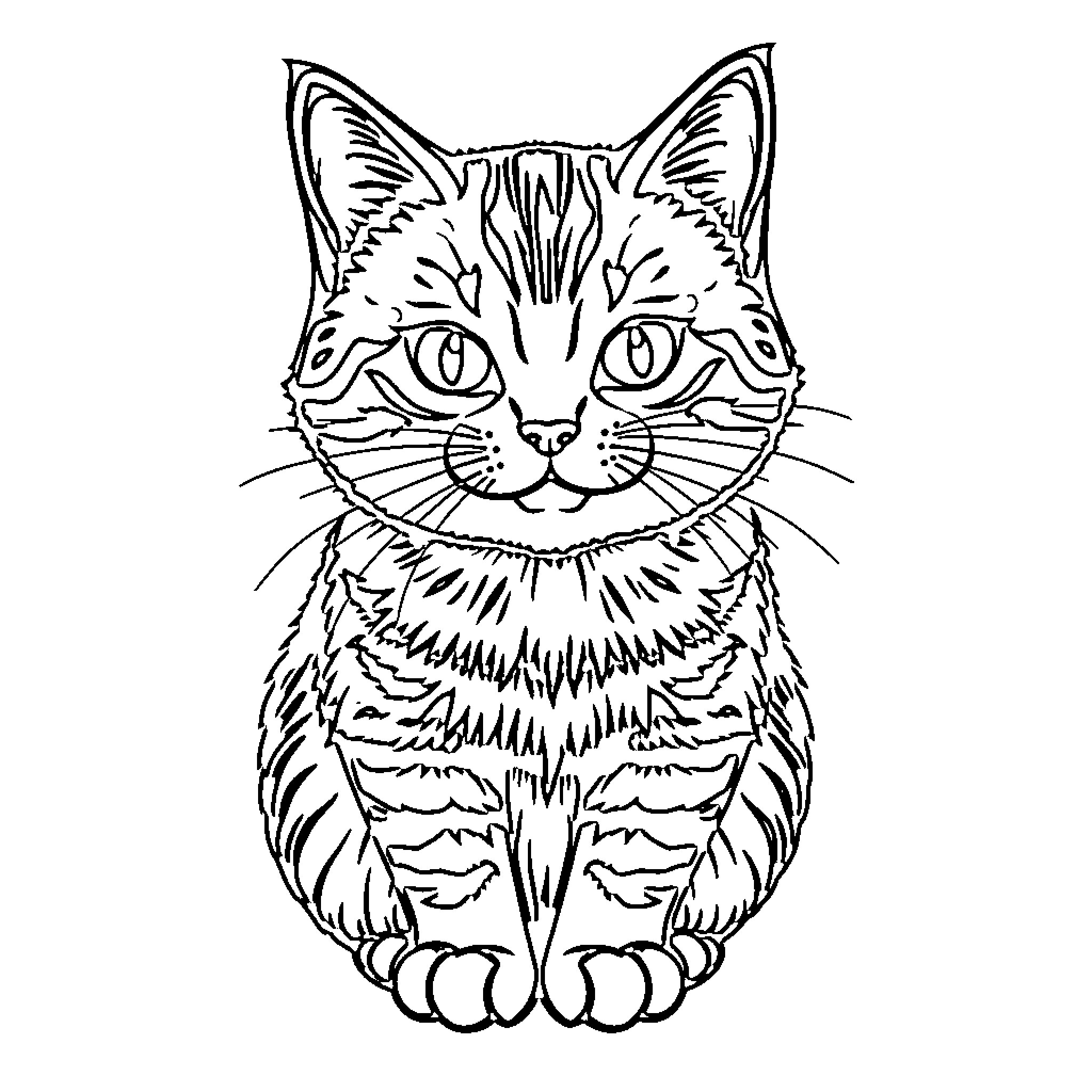 Cat with Expressive Eyes and Detailed Fur Coloring Page (free black-and-white line drawing printable PDF for all, from beginners to advanced learners, including children, teens, adults, and seniors)