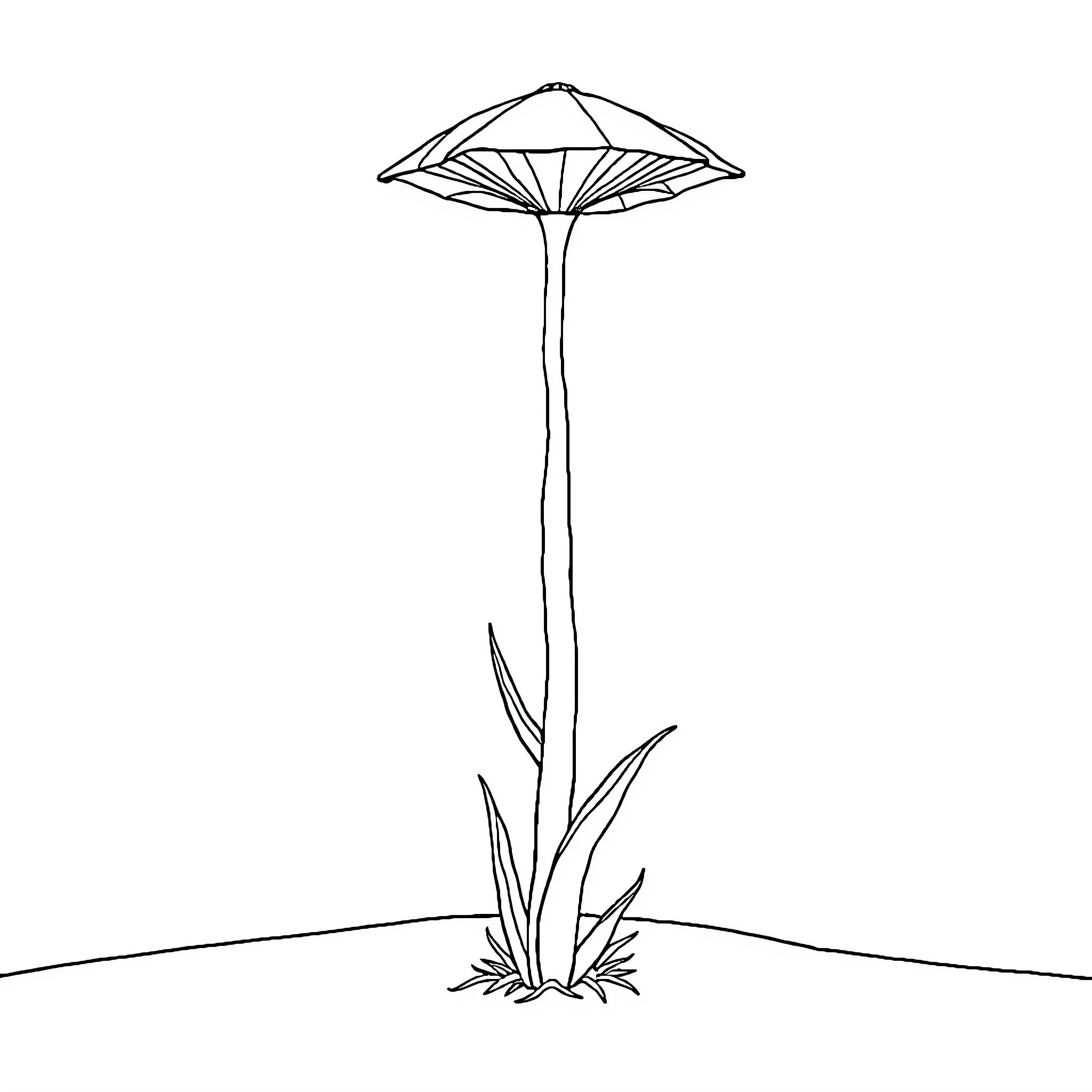 Plant mushroom growing in nature Coloring Page (free black-and-white line drawing printable PDF for all, from beginners to advanced learners, including children, teens, adults, and seniors)