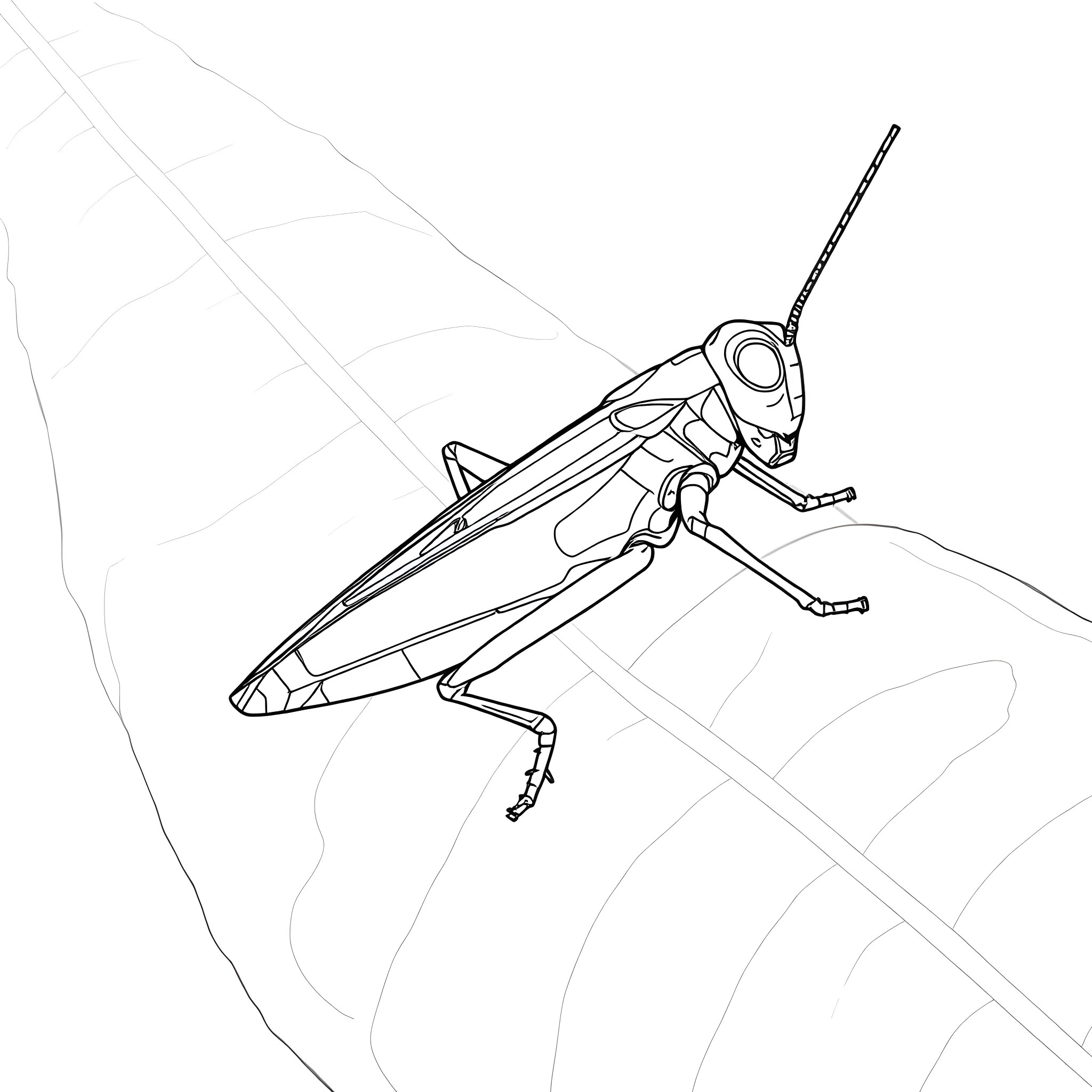 Grasshopper leaping on the rock Coloring Page (free black-and-white line drawing printable PDF for all, from beginners to advanced learners, including children, teens, adults, and seniors)
