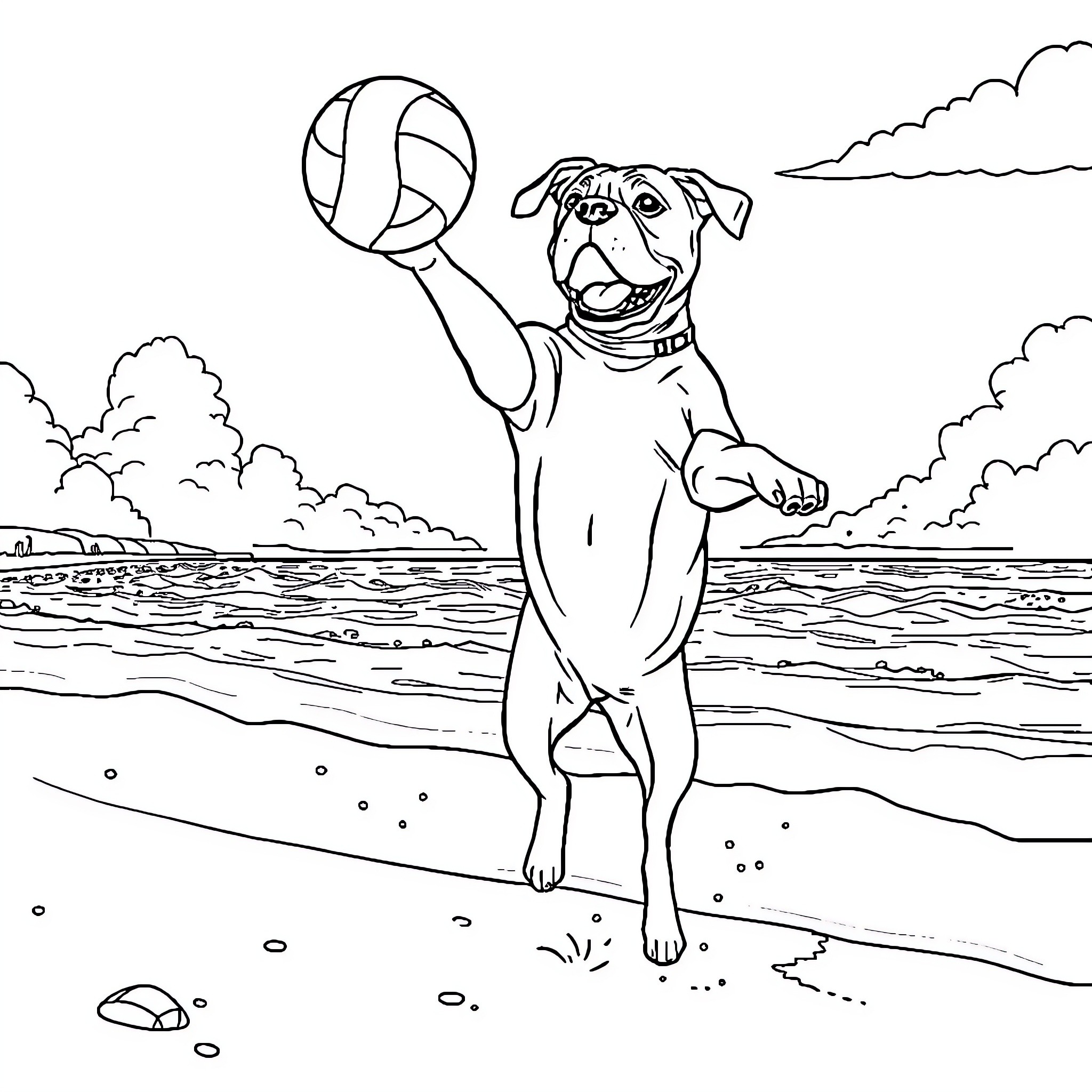Boxer dog playing with volleyball on the beach Coloring Page (free black-and-white line drawing printable PDF for all, from beginners to advanced learners, including children, teens, adults, and seniors)
