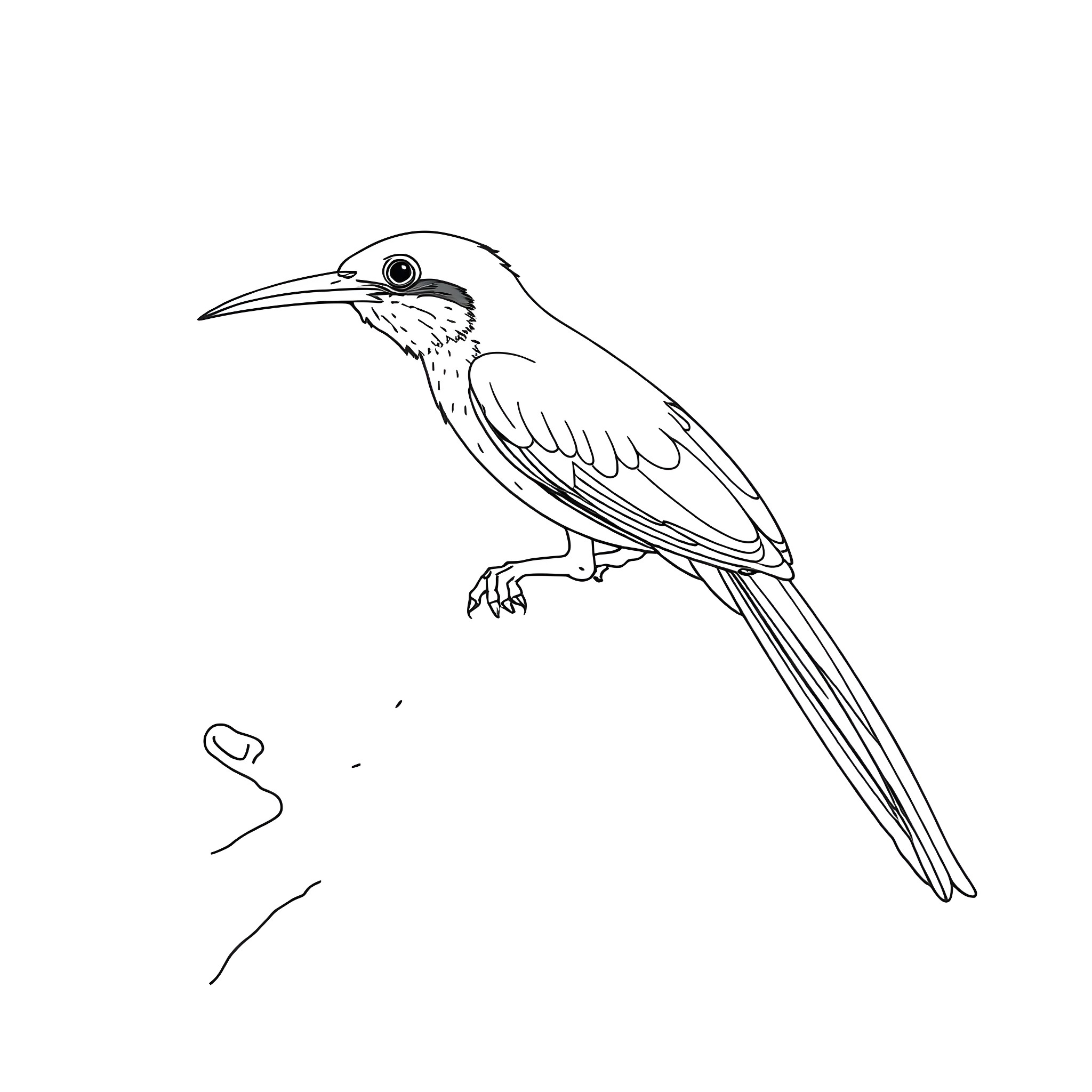 Calyptomena bird perched on a branch Coloring Page (free black-and-white line drawing printable PDF for all, from beginners to advanced learners, including children, teens, adults, and seniors)