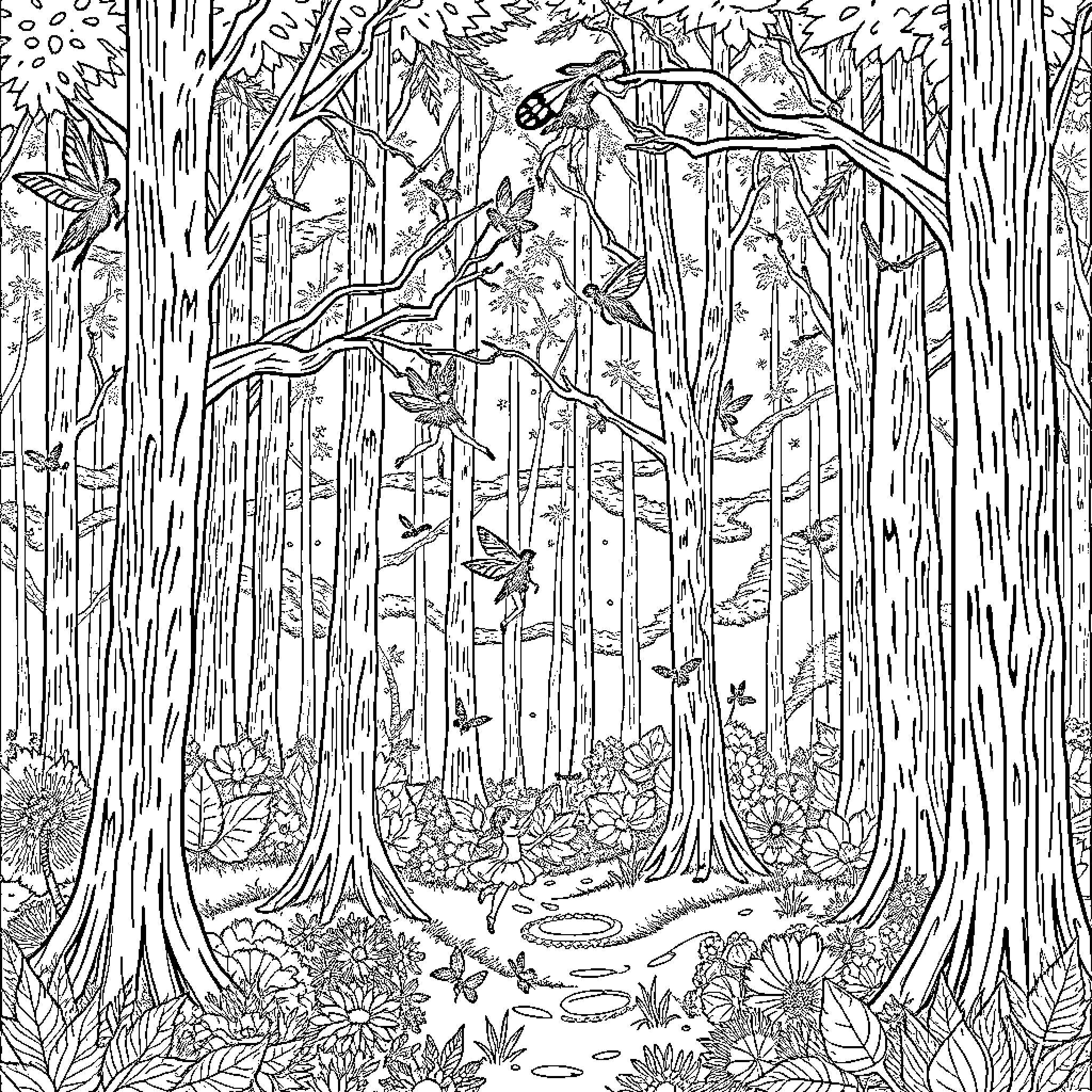 Fairy Silhouettes Wander Through the Enchanted Forest Coloring Page (free black-and-white line drawing printable PDF for all, from beginners to advanced learners, including children, teens, adults, and seniors)