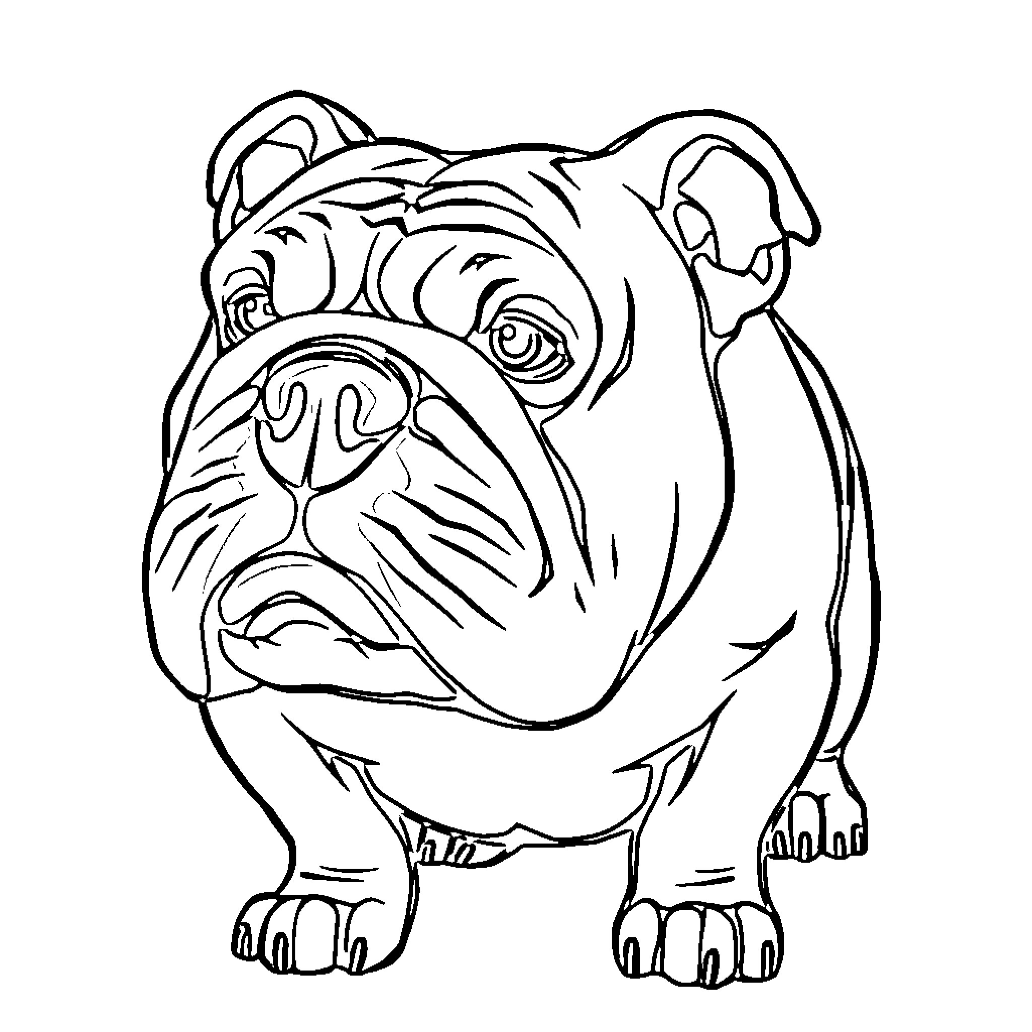 Bulldog with playful expression Coloring Page (free black-and-white line drawing printable PDF for all, from beginners to advanced learners, including children, teens, adults, and seniors)
