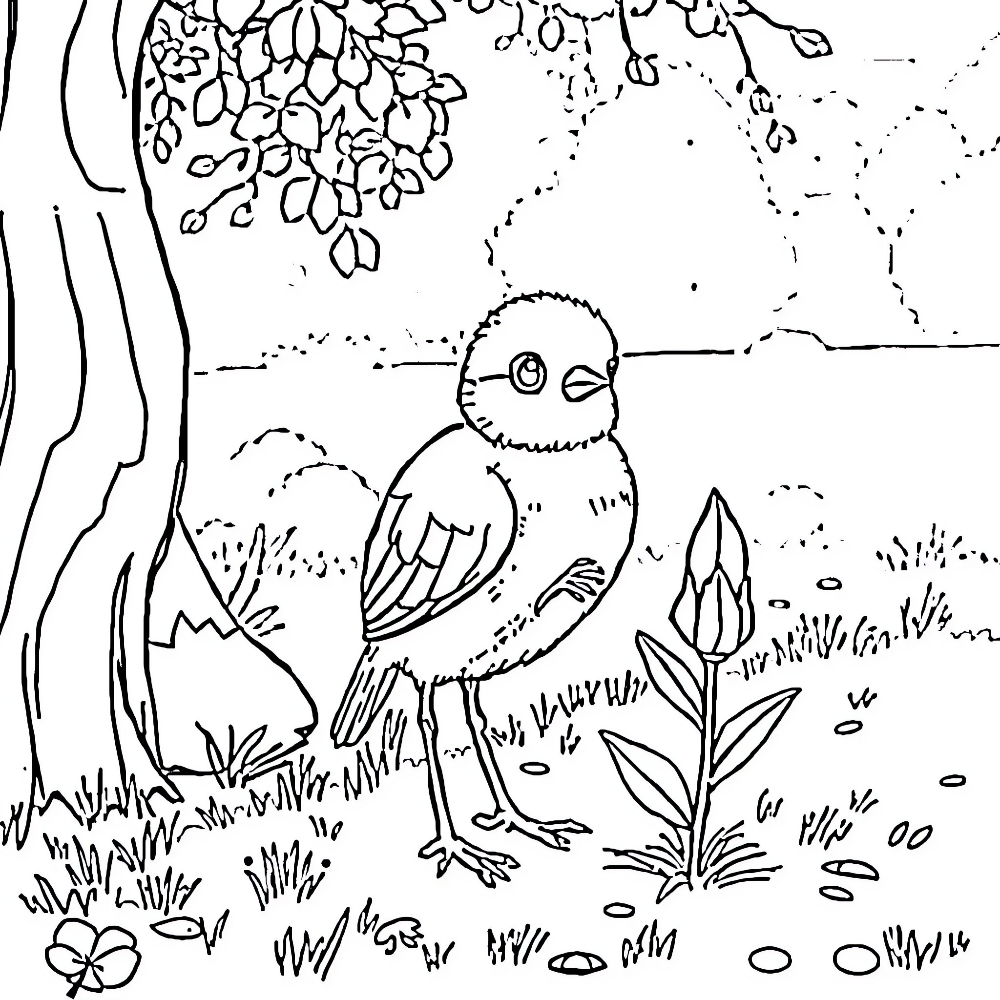 Fillette bird in a forest scene Coloring Page (free black-and-white line drawing printable PDF for all, from beginners to advanced learners, including children, teens, adults, and seniors)