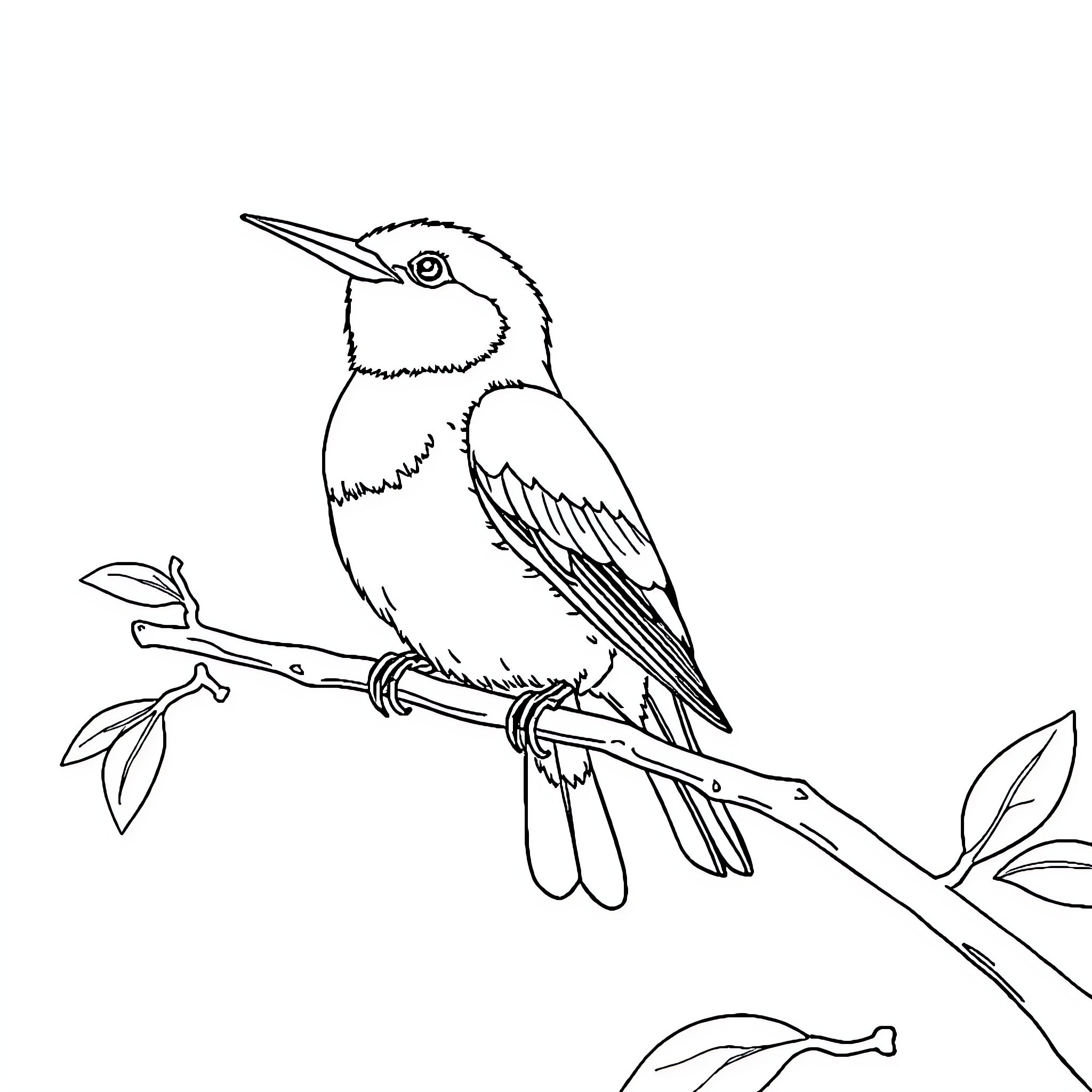 Bird perched on branch in nature Coloring Page (free black-and-white line drawing printable PDF for all, from beginners to advanced learners, including children, teens, adults, and seniors)