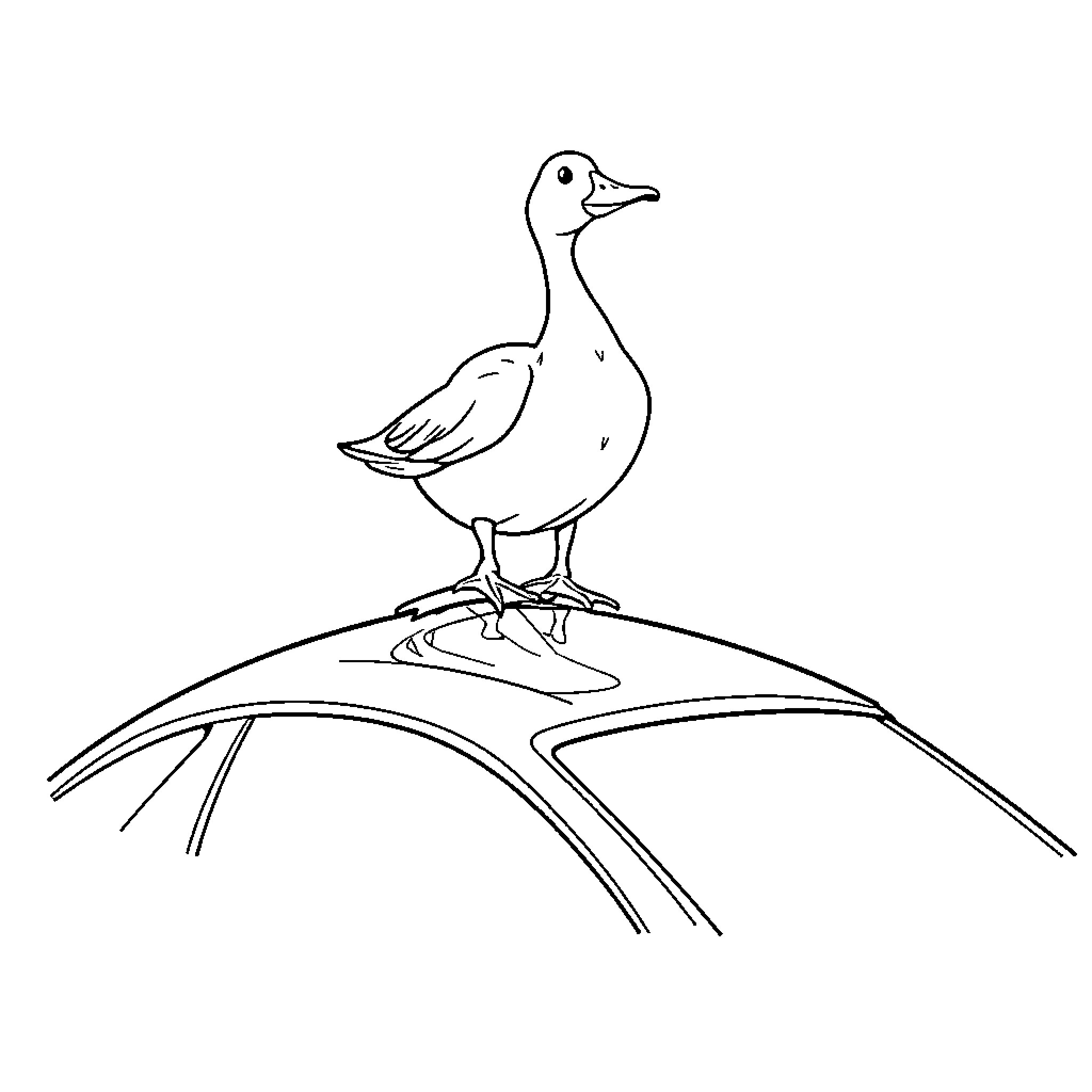 Duck standing proudly on a wooden surface Coloring Page (free black-and-white line drawing printable PDF for all, from beginners to advanced learners, including children, teens, adults, and seniors)