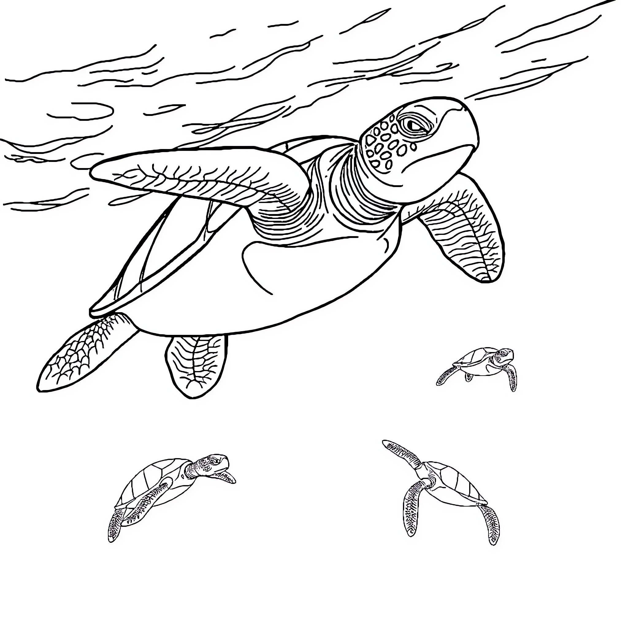 Sea Turtle swimming gracefully in the ocean Coloring Page (free black-and-white line drawing printable PDF for all, from beginners to advanced learners, including children, teens, adults, and seniors)