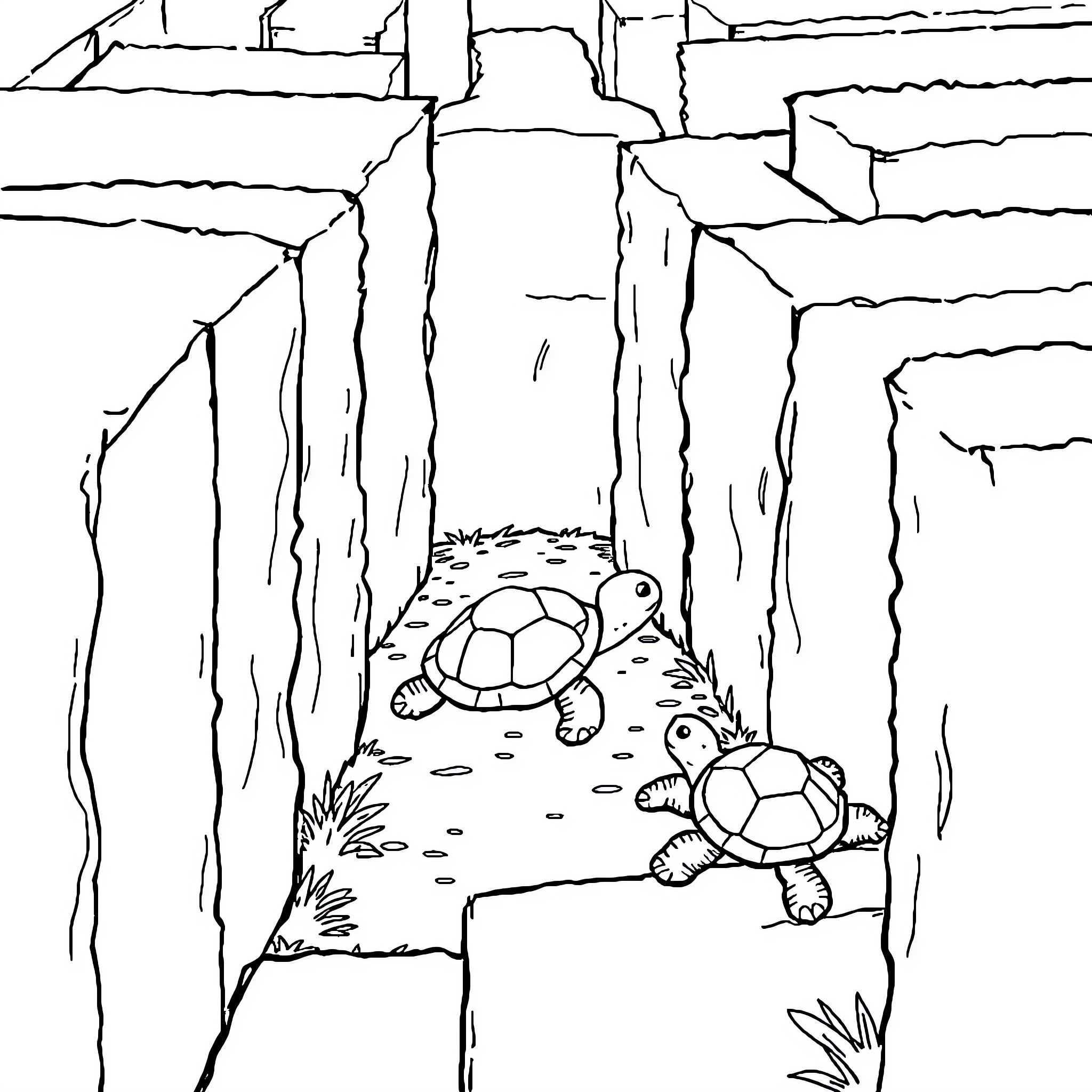 Turtle exploring a rocky terrain Coloring Page (free black-and-white line drawing printable PDF for all, from beginners to advanced learners, including children, teens, adults, and seniors)