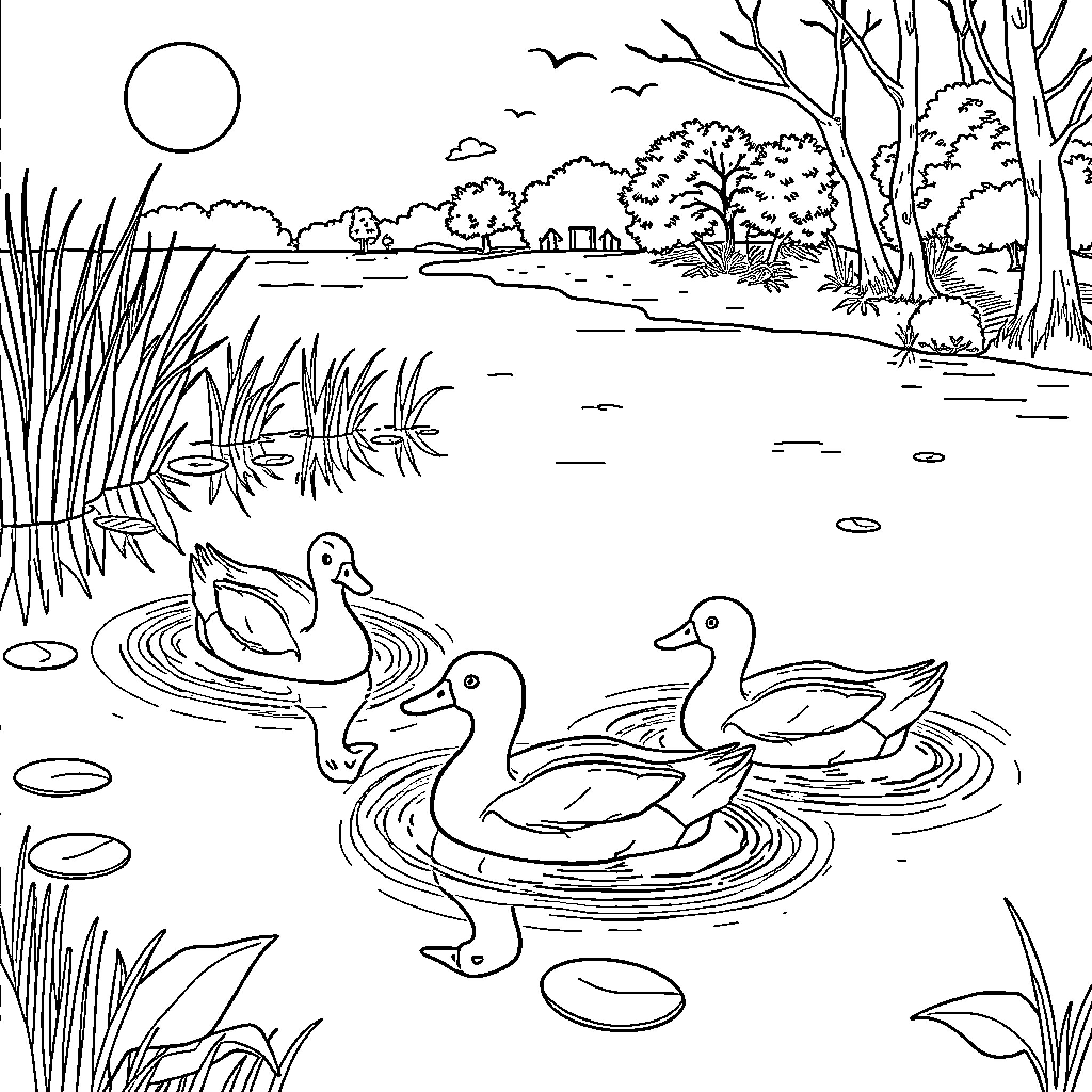 Ducks swimming peacefully in the pond Coloring Page (free black-and-white line drawing printable PDF for all, from beginners to advanced learners, including children, teens, adults, and seniors)