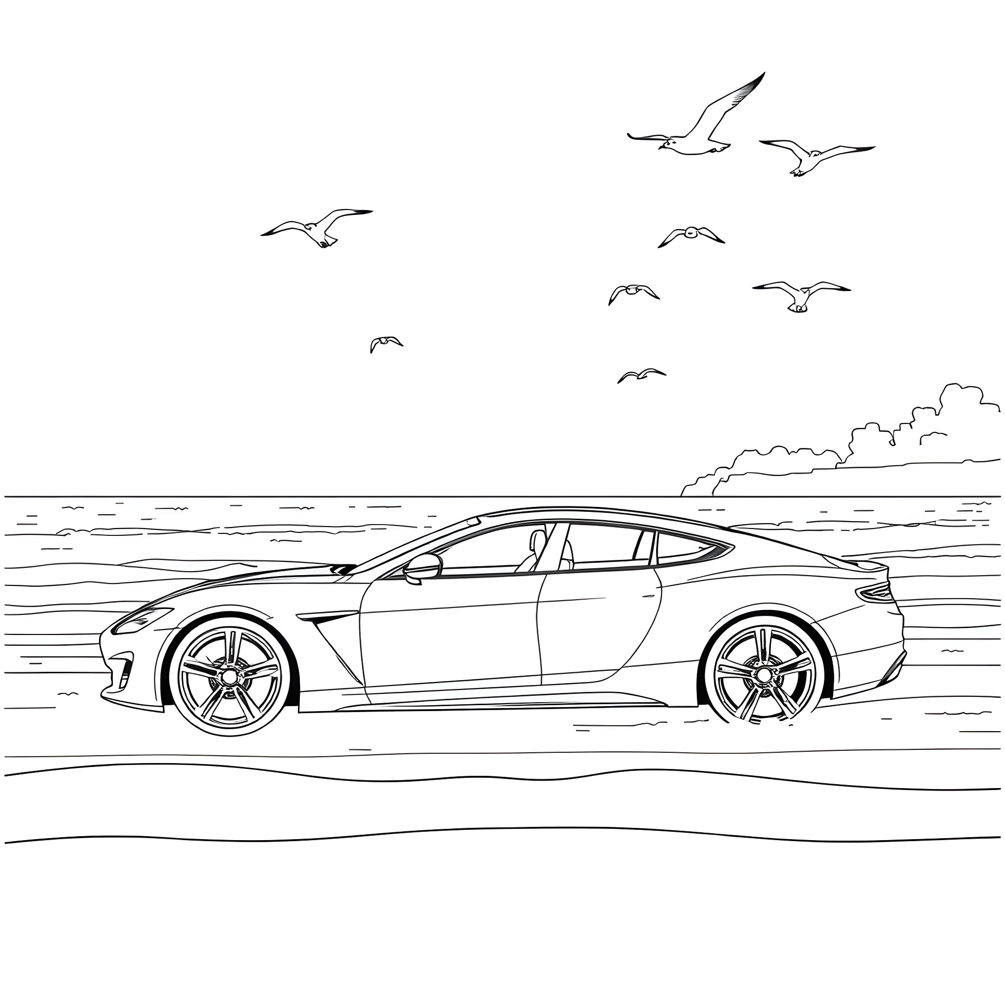 Car driving along the beach with birds in the sky Coloring Page (free black-and-white line drawing printable PDF for all, from beginners to advanced learners, including children, teens, adults, and seniors)