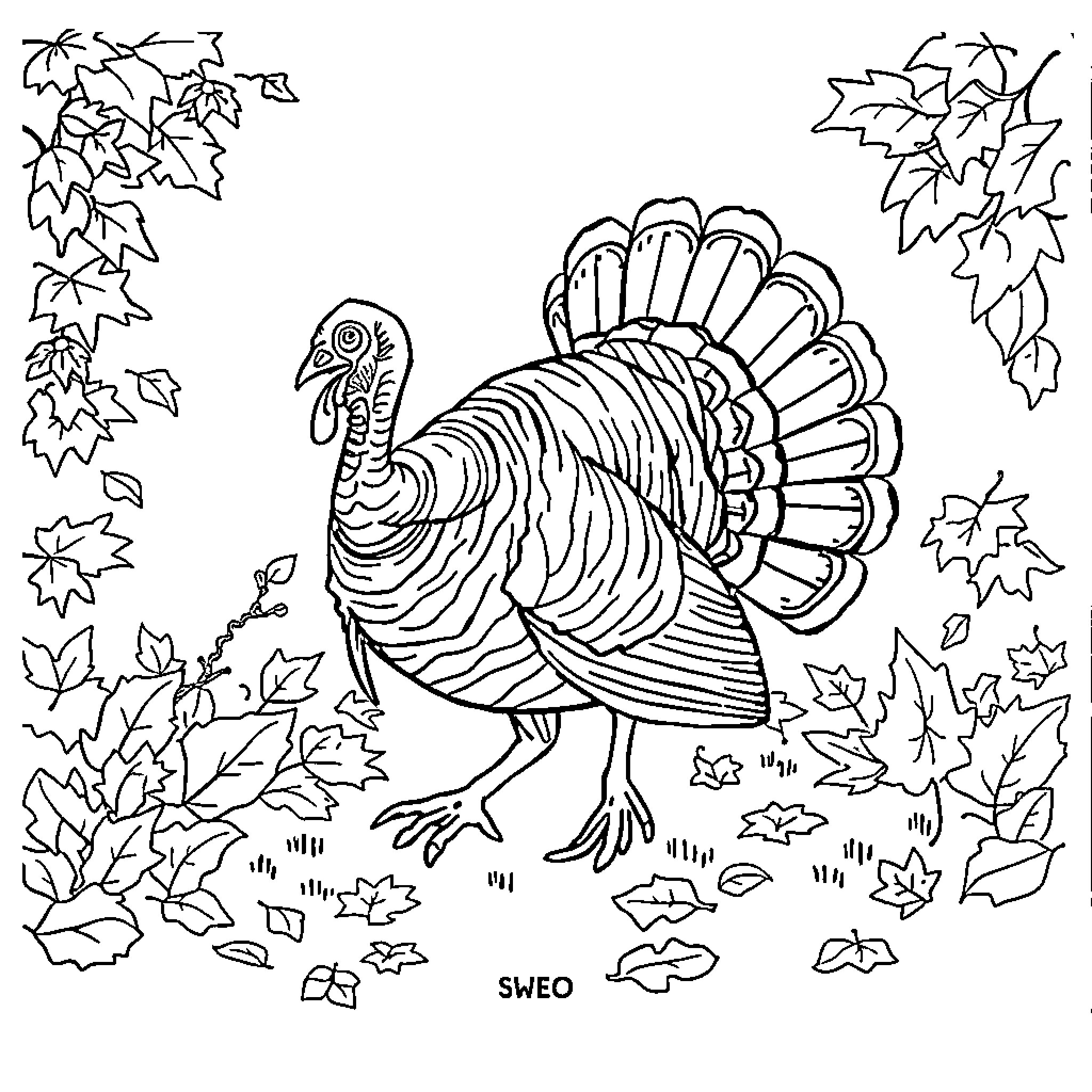 Turkey standing amidst autumn leaves Coloring Page (free black-and-white line drawing printable PDF for all, from beginners to advanced learners, including children, teens, adults, and seniors)
