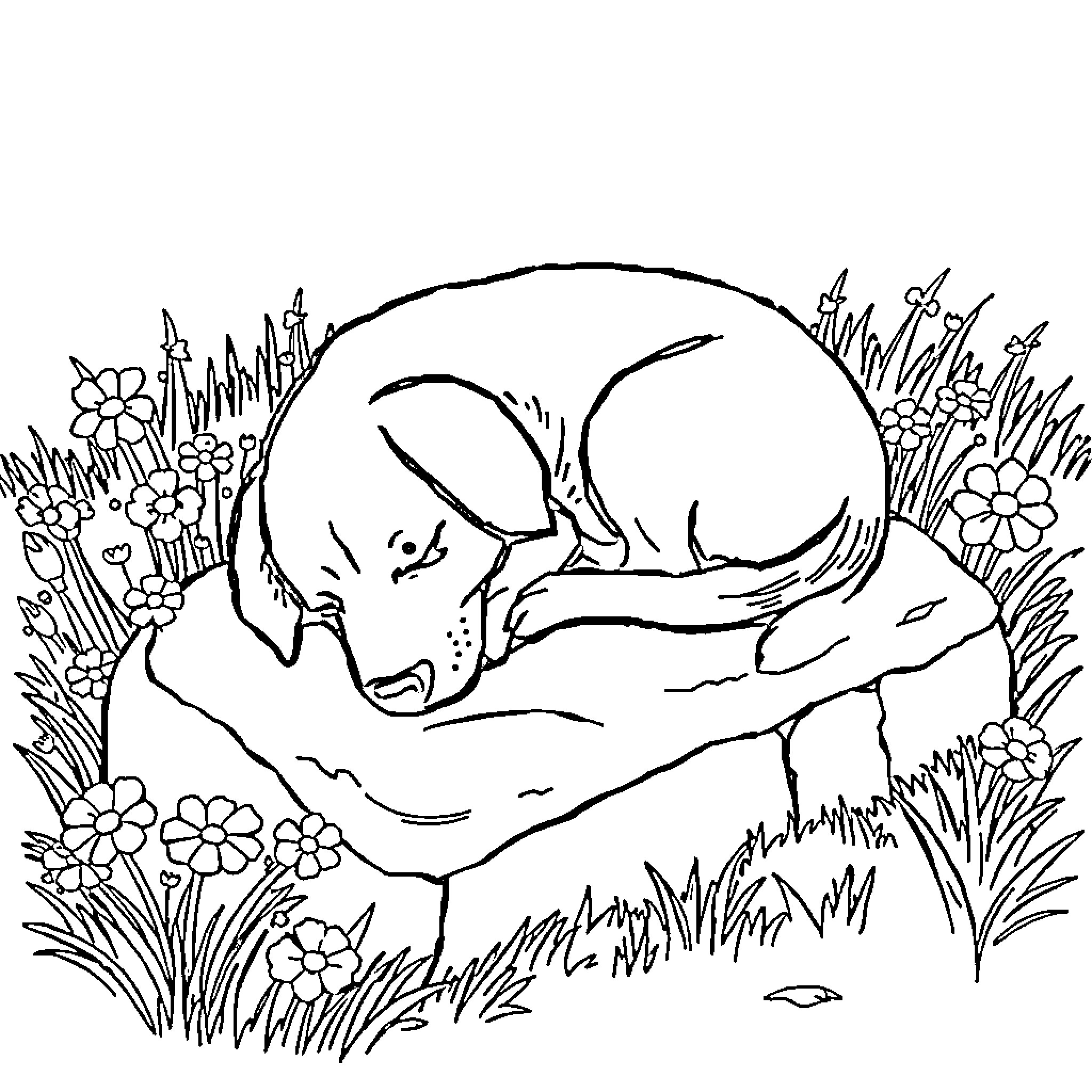 Dog sleeping peacefully in floral field Coloring Page (free black-and-white line drawing printable PDF for all, from beginners to advanced learners, including children, teens, adults, and seniors)