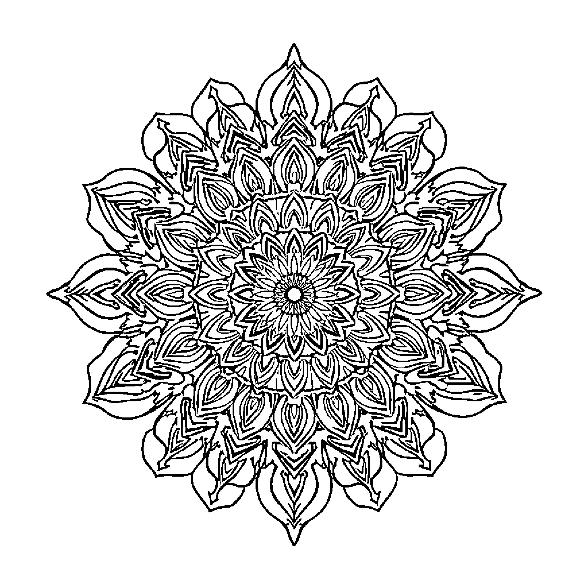 Mandala with intricate floral designs Coloring Page (free black-and-white line drawing printable PDF for all, from beginners to advanced learners, including children, teens, adults, and seniors)