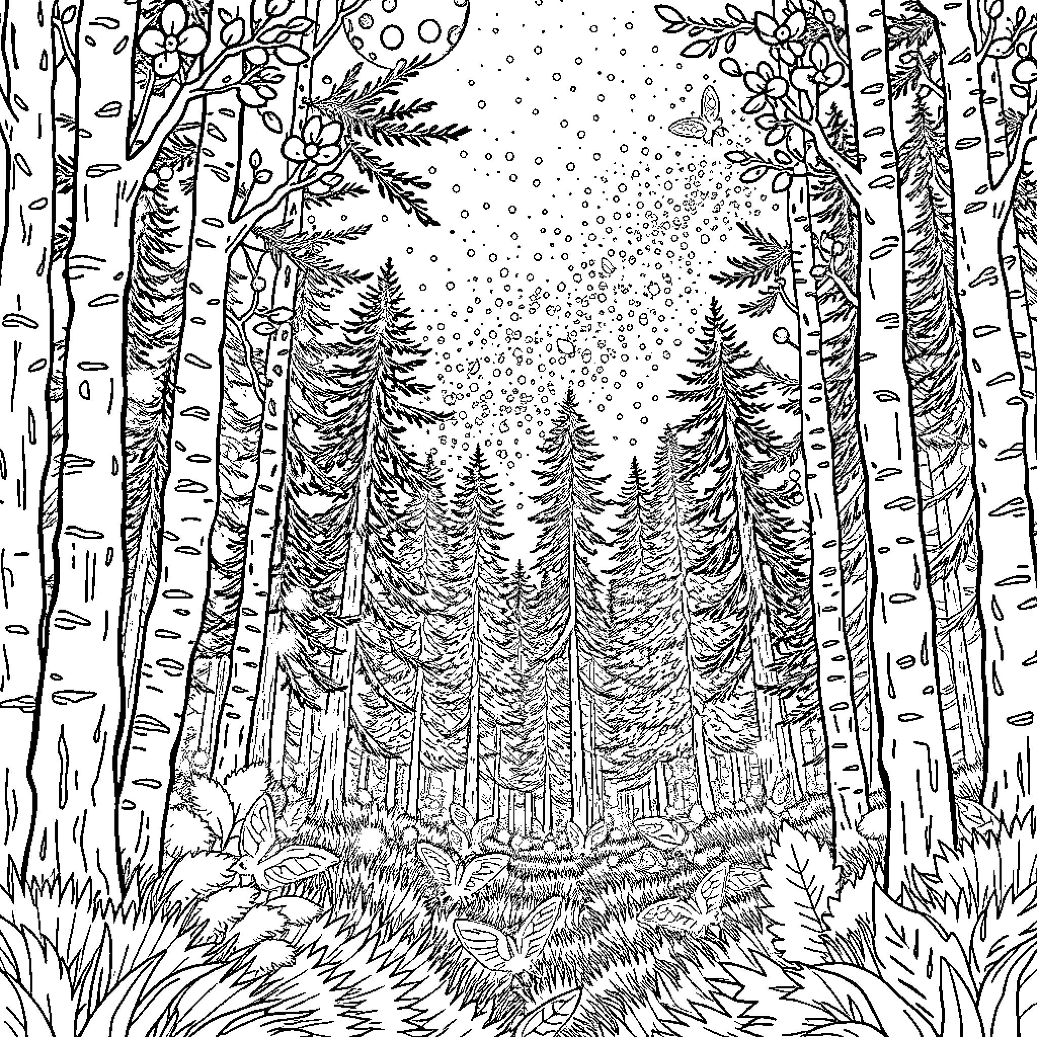 Night in the Serene Forest Coloring Page (free black-and-white line drawing printable PDF for all, from beginners to advanced learners, including children, teens, adults, and seniors)