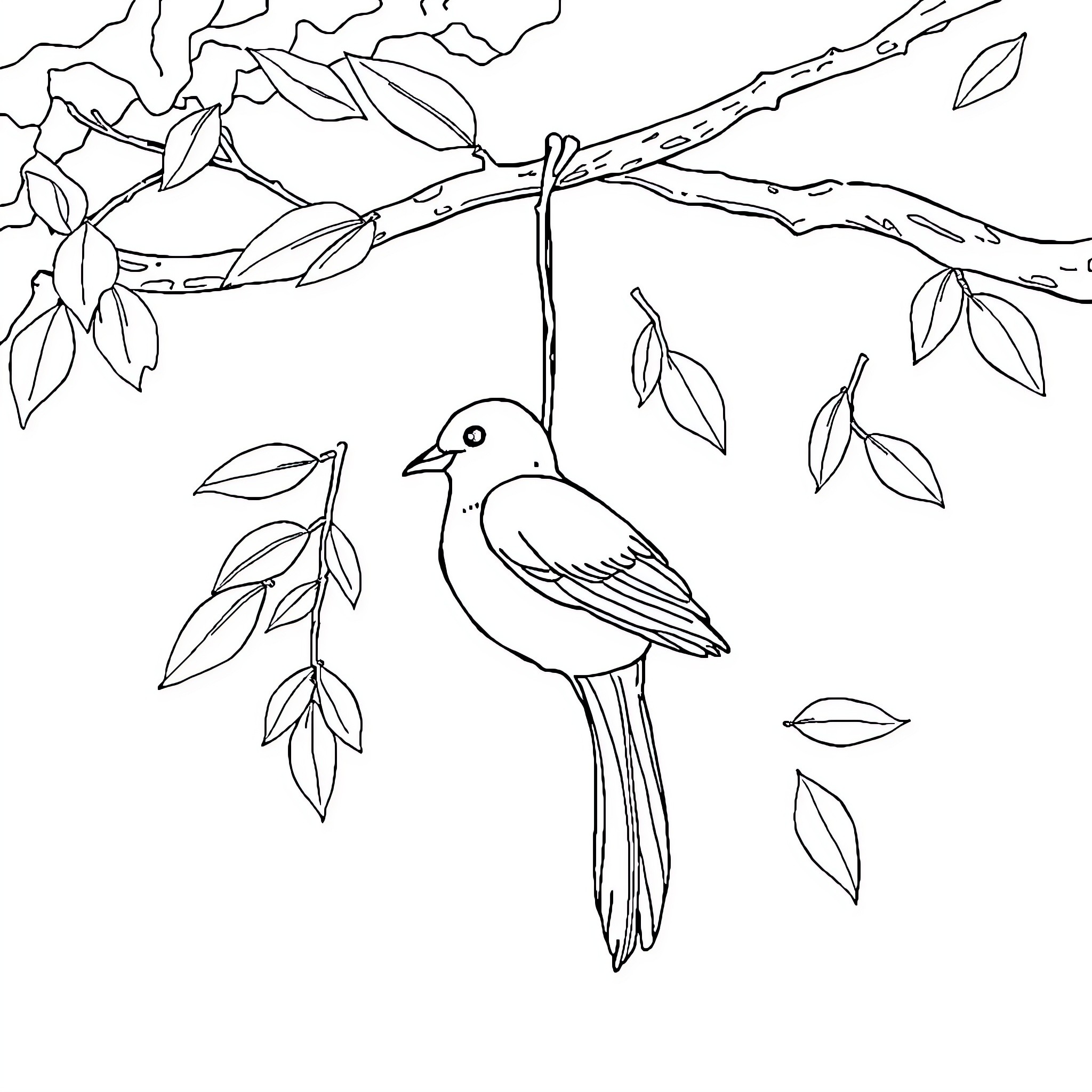 St220 Bird resting on tree branch Coloring Page (free black-and-white line drawing printable PDF for all, from beginners to advanced learners, including children, teens, adults, and seniors)