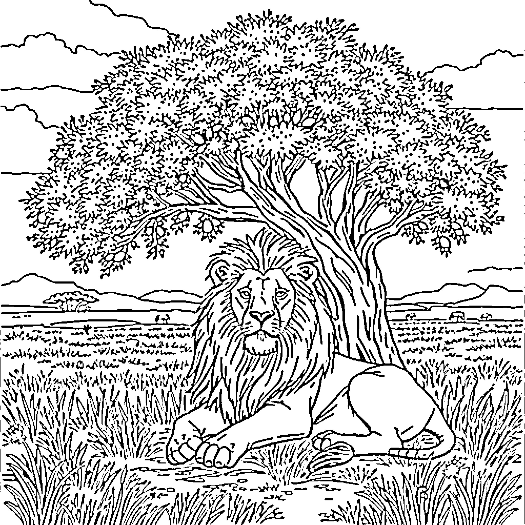 Lion resting under a large tree in the savanna Coloring Page (free black-and-white line drawing printable PDF for all, from beginners to advanced learners, including children, teens, adults, and seniors)