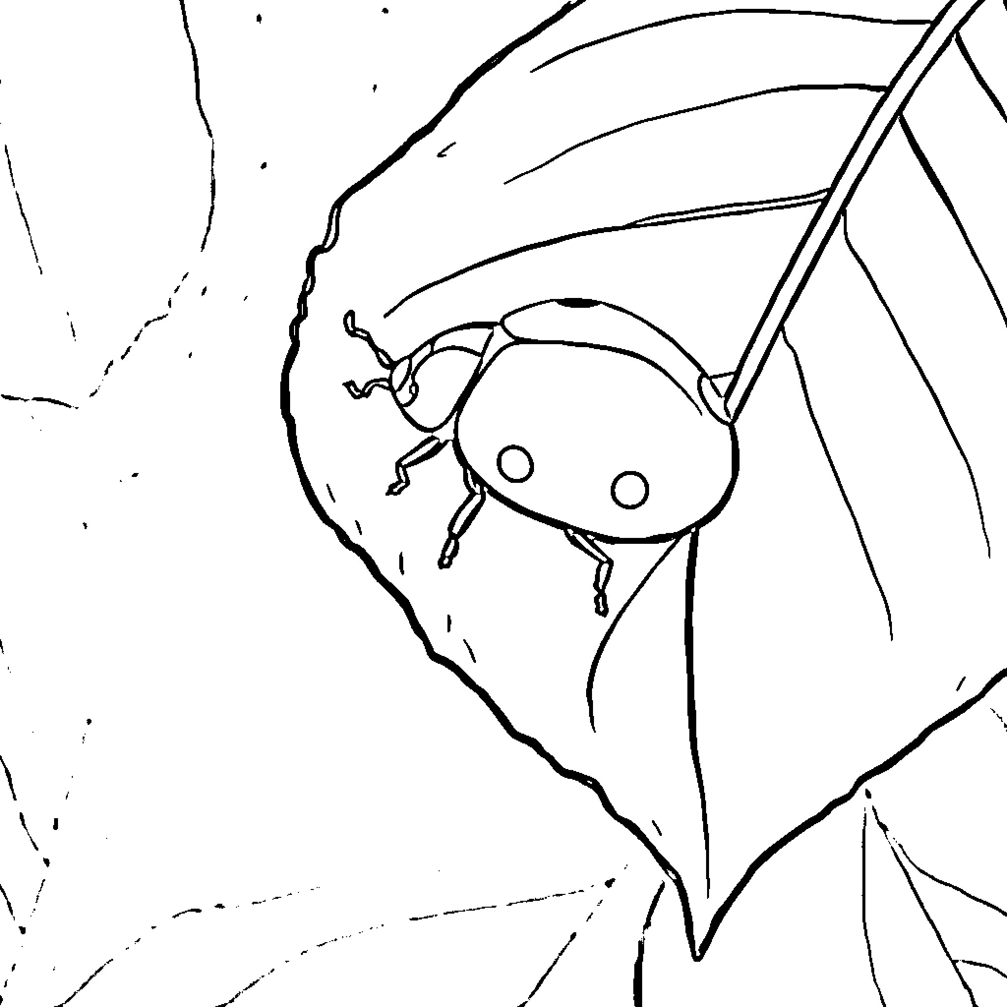 Ladybug resting on a leaf Coloring Page (free black-and-white line drawing printable PDF for all, from beginners to advanced learners, including children, teens, adults, and seniors)