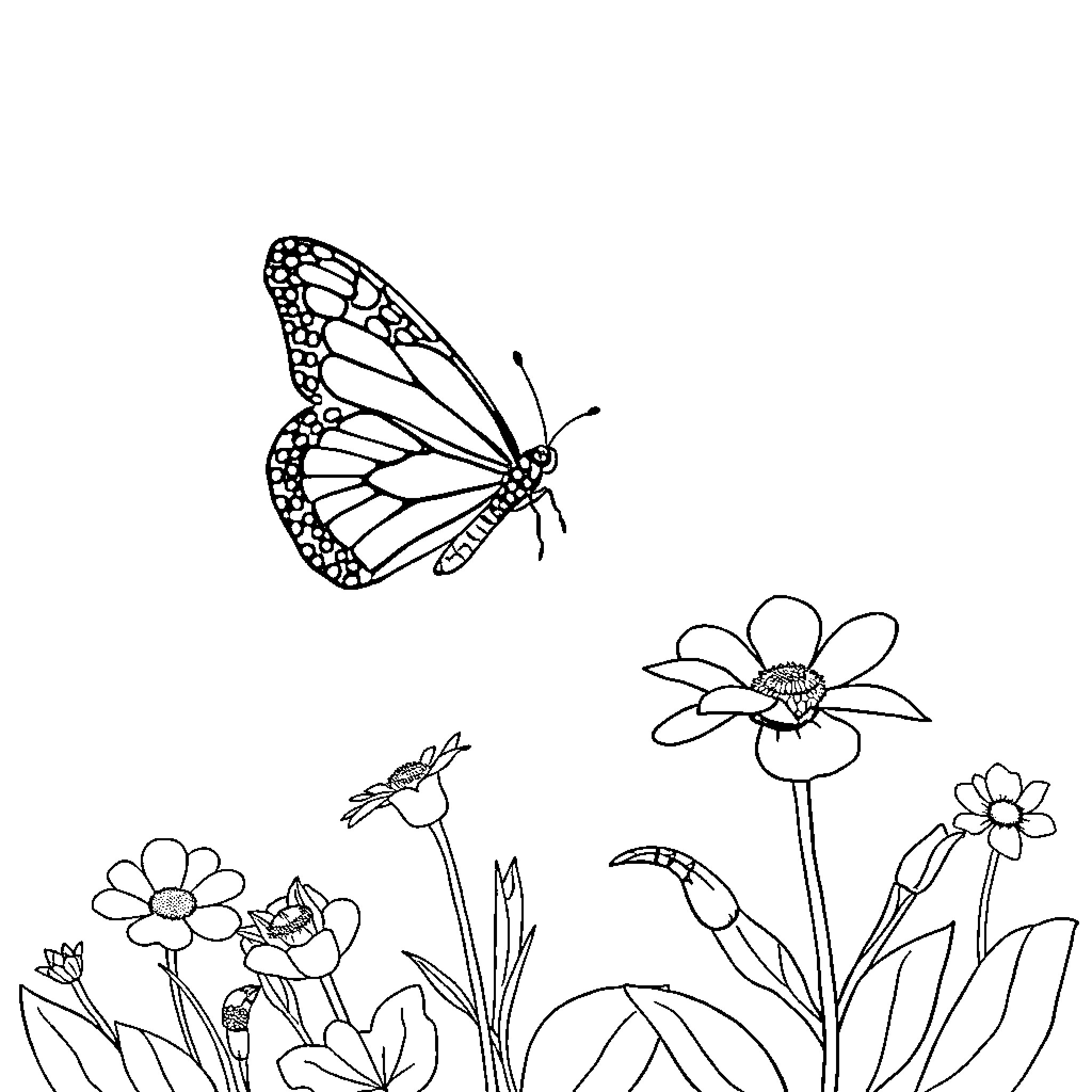 Butterfly perching on a flower in nature Coloring Page (free black-and-white line drawing printable PDF for all, from beginners to advanced learners, including children, teens, adults, and seniors)