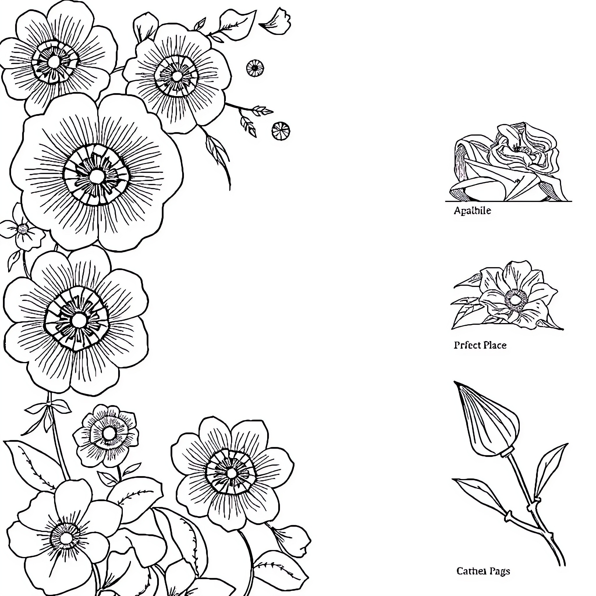 3 Best Pinterest Coloring Pages (Free Printable PDFs)
