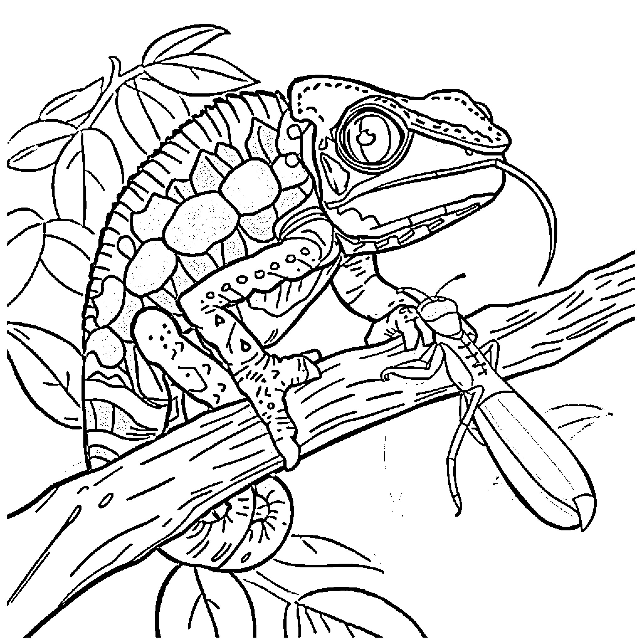 Chameleon exploring vibrant botanical surroundings Coloring Page (free black-and-white line drawing printable PDF for all, from beginners to advanced learners, including children, teens, adults, and seniors)