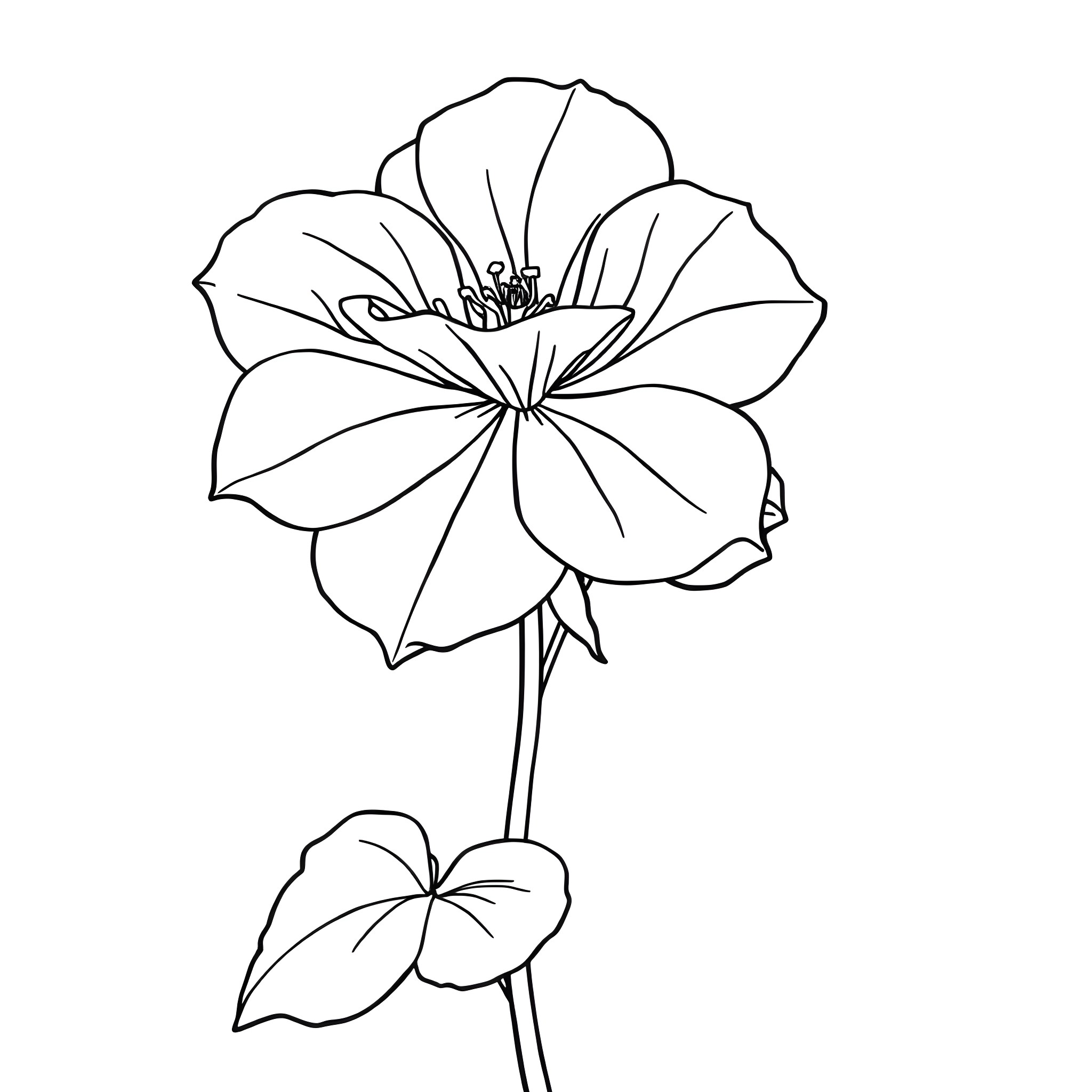Nasturtium flower blooming gracefully Coloring Page (free black-and-white line drawing printable PDF for all, from beginners to advanced learners, including children, teens, adults, and seniors)