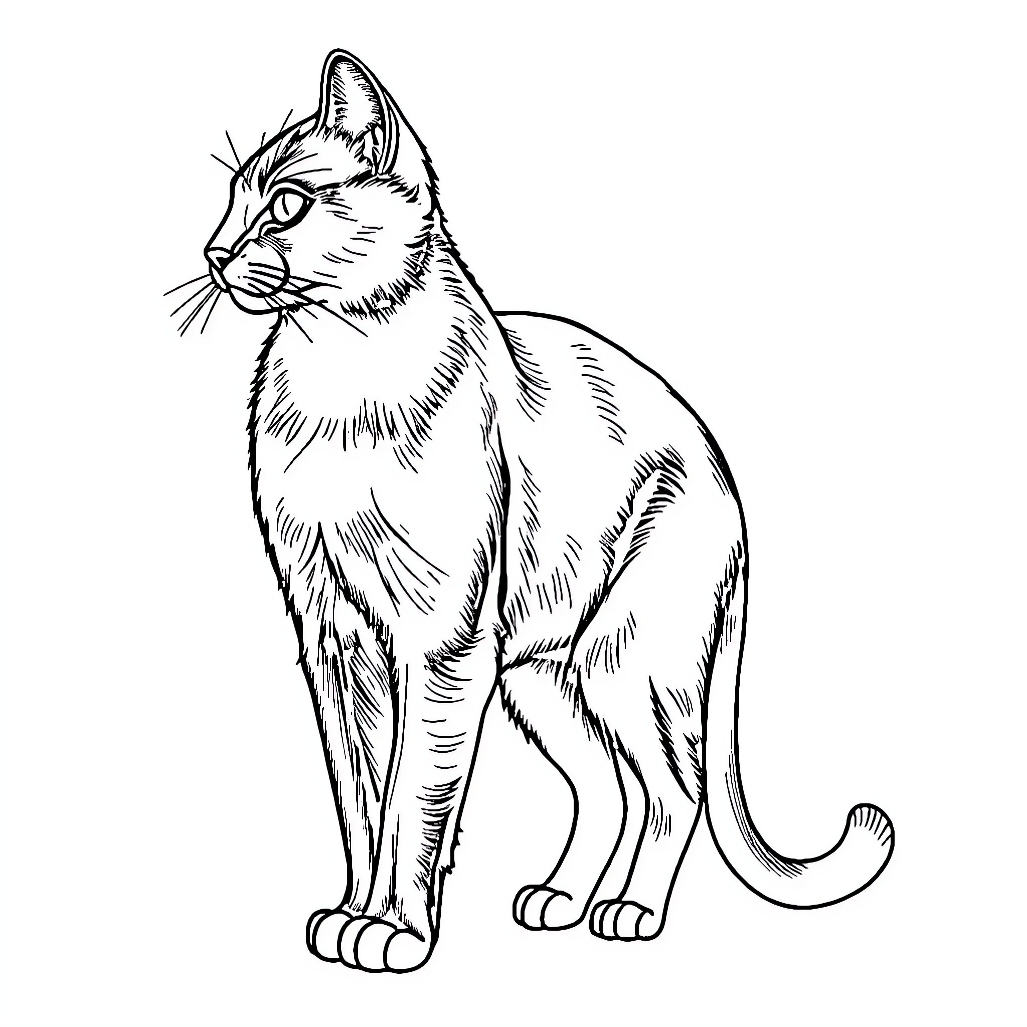 Cat in a pensive pose Coloring Page (free black-and-white line drawing printable PDF for all, from beginners to advanced learners, including children, teens, adults, and seniors)