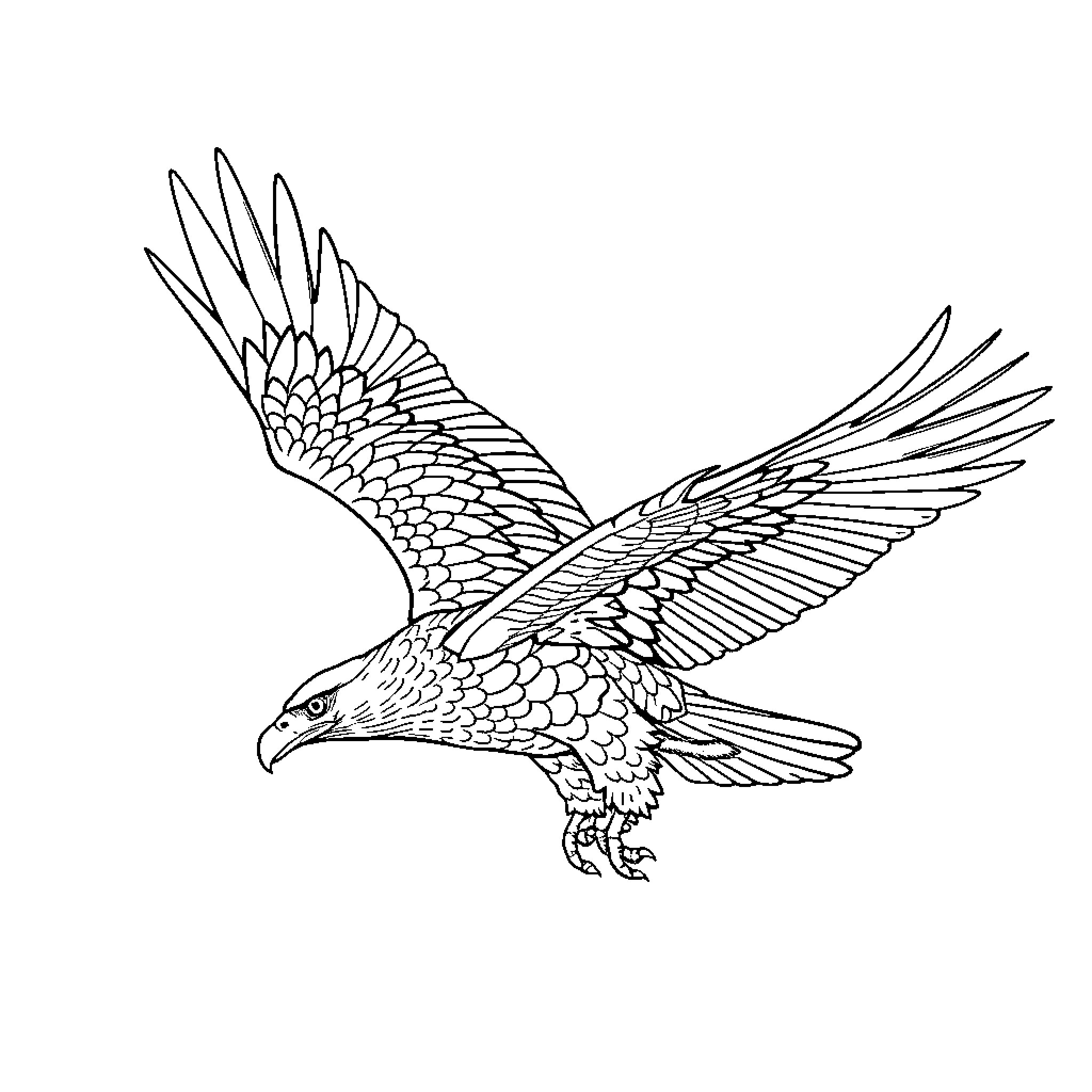 Leistikow Eagle in Flight Coloring Page (free black-and-white line drawing printable PDF for all, from beginners to advanced learners, including children, teens, adults, and seniors)