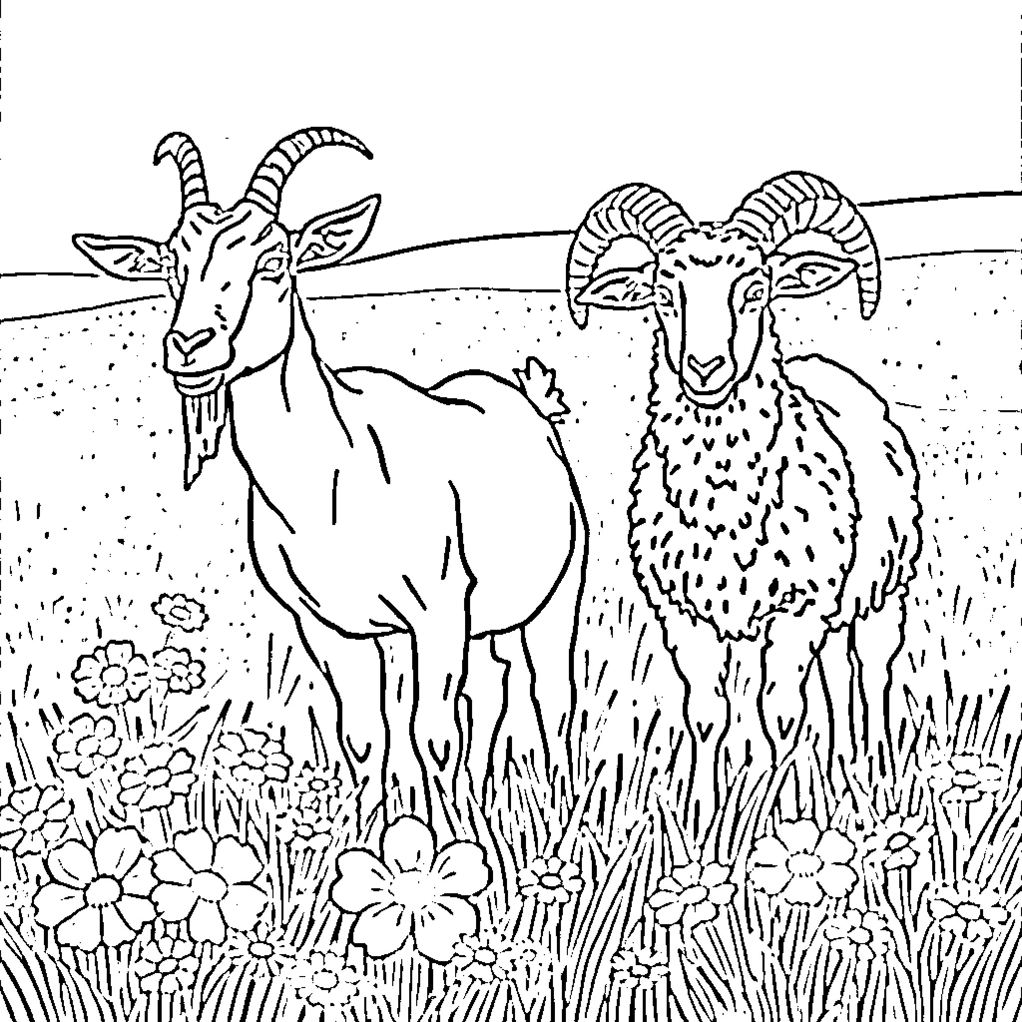 Goats grazing peacefully in a floral meadow Coloring Page (free black-and-white line drawing printable PDF for all, from beginners to advanced learners, including children, teens, adults, and seniors)