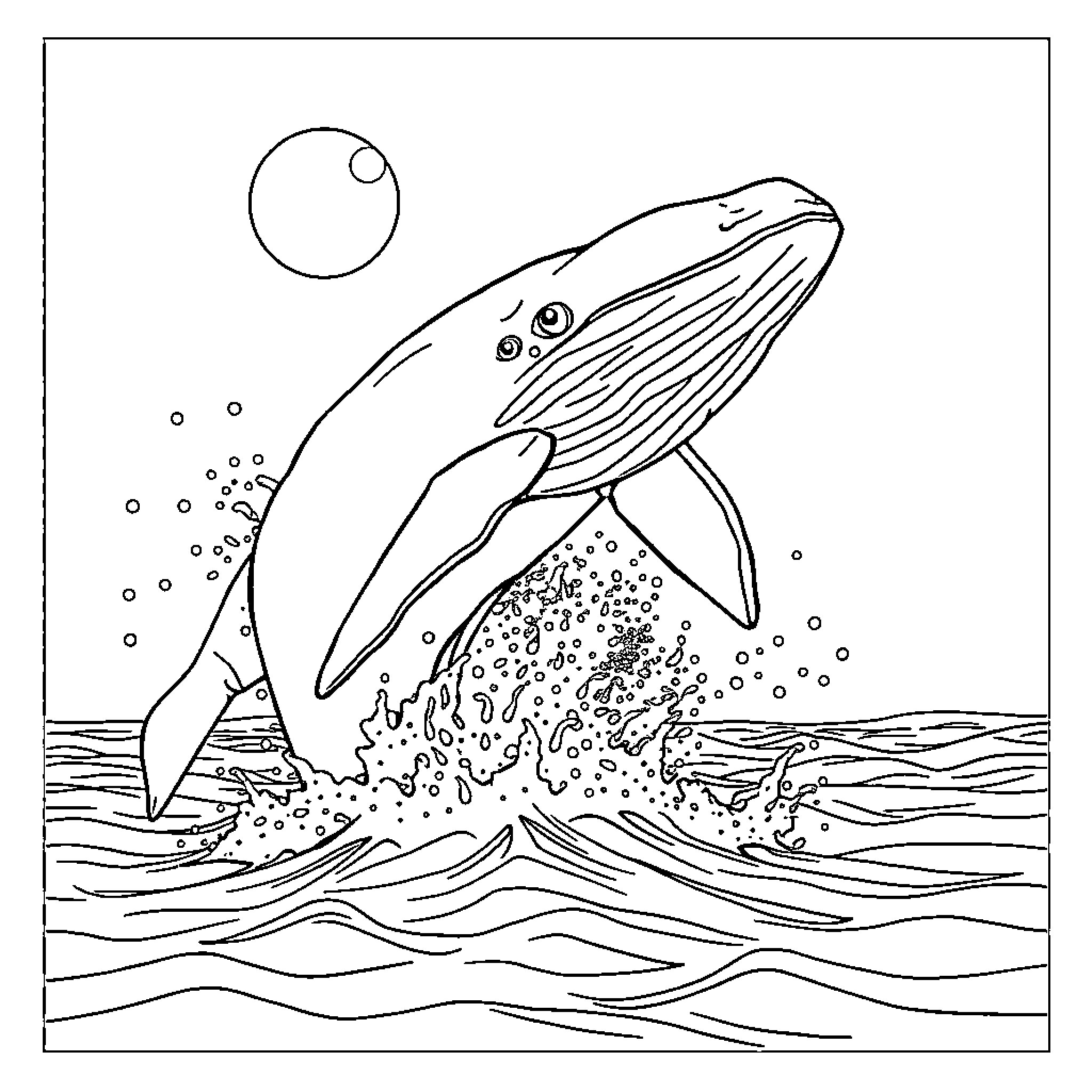 Whale jumping out of the ocean Coloring Page (free black-and-white line drawing printable PDF for all, from beginners to advanced learners, including children, teens, adults, and seniors)