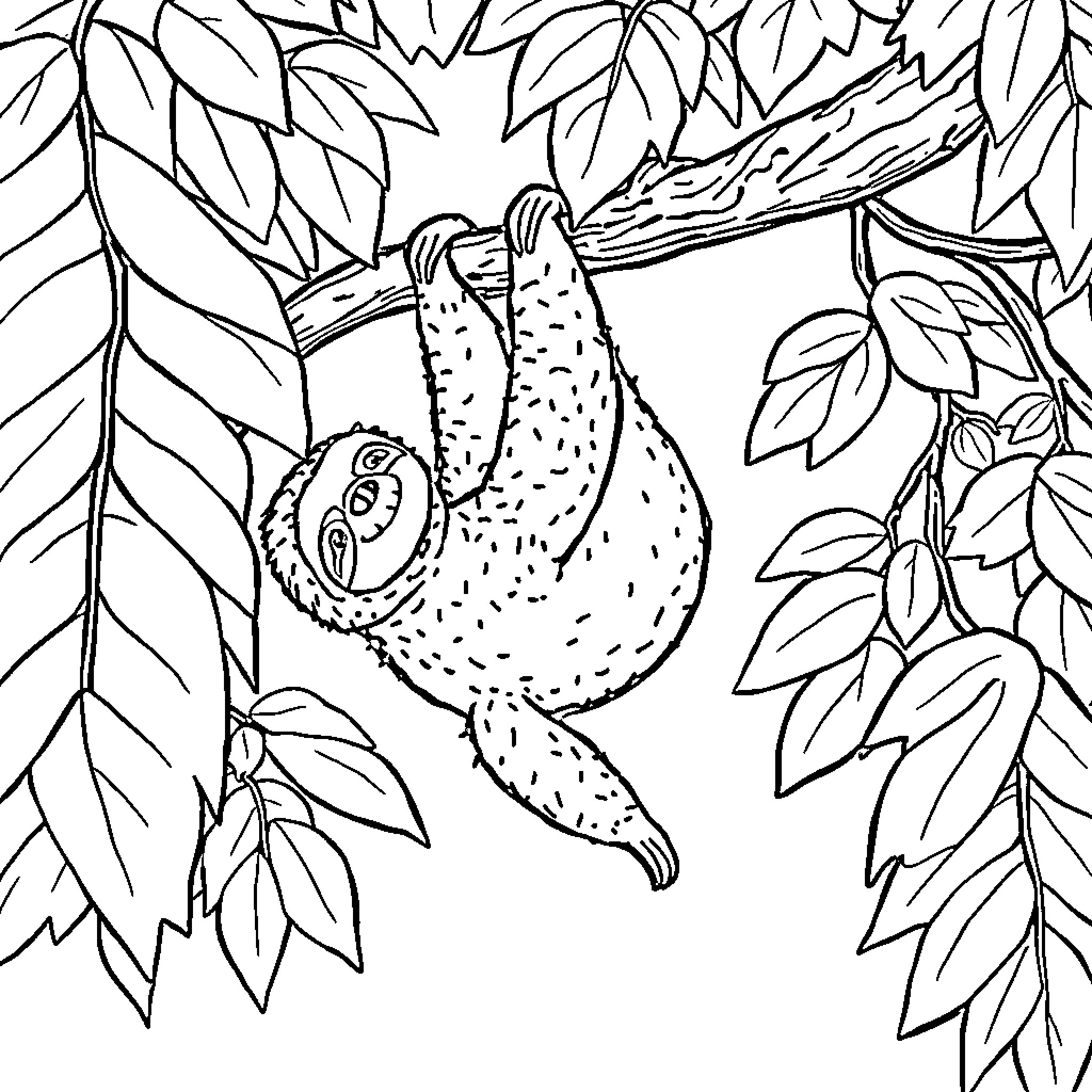 Sloth resting peacefully in the lush foliage Coloring Page (free black-and-white line drawing printable PDF for all, from beginners to advanced learners, including children, teens, adults, and seniors)