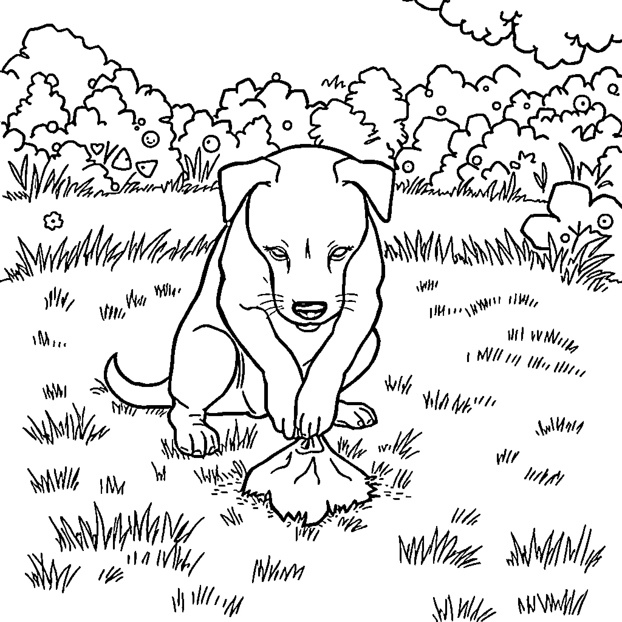 Dog exploring the outdoors in a grassy field Coloring Page (free black-and-white line drawing printable PDF for all, from beginners to advanced learners, including children, teens, adults, and seniors)