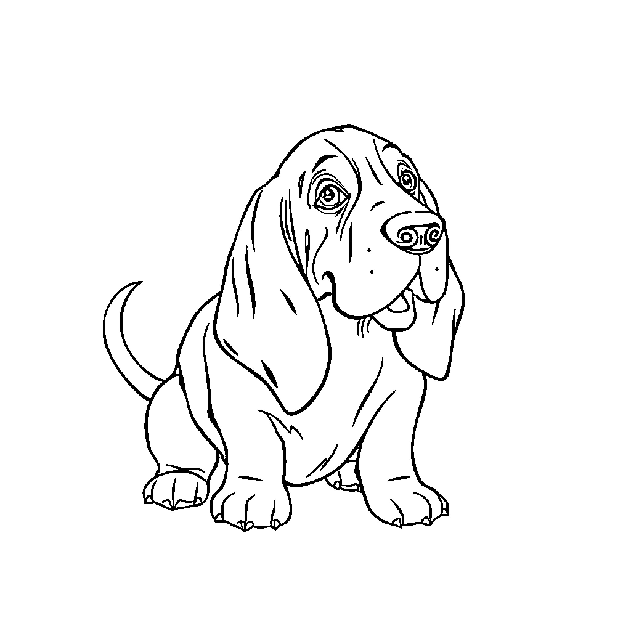 Basset Hound patiently waiting for a treat Coloring Page (free black-and-white line drawing printable PDF for all, from beginners to advanced learners, including children, teens, adults, and seniors)