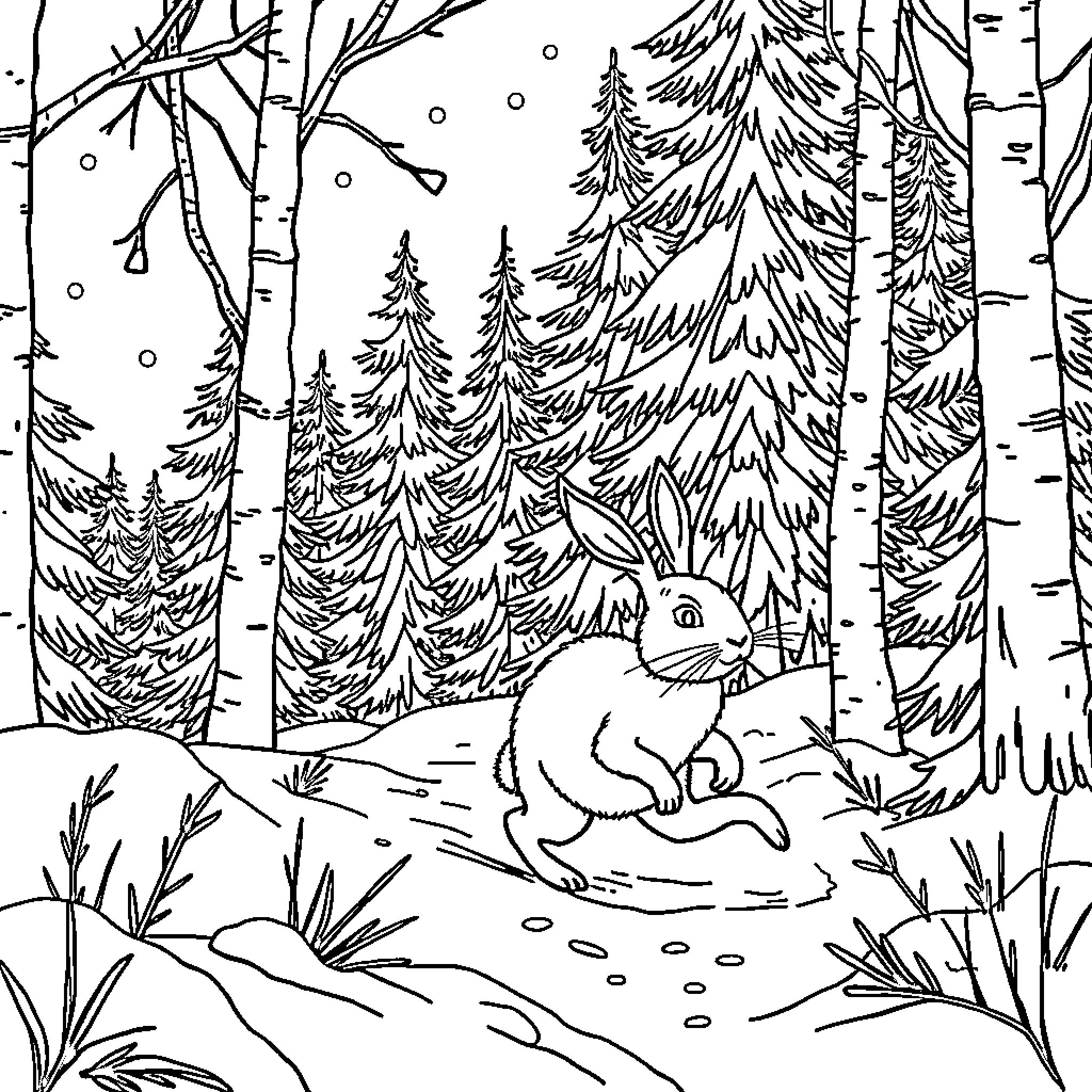 Hare hopping through snowy woodland scene Coloring Page (free black-and-white line drawing printable PDF for all, from beginners to advanced learners, including children, teens, adults, and seniors)