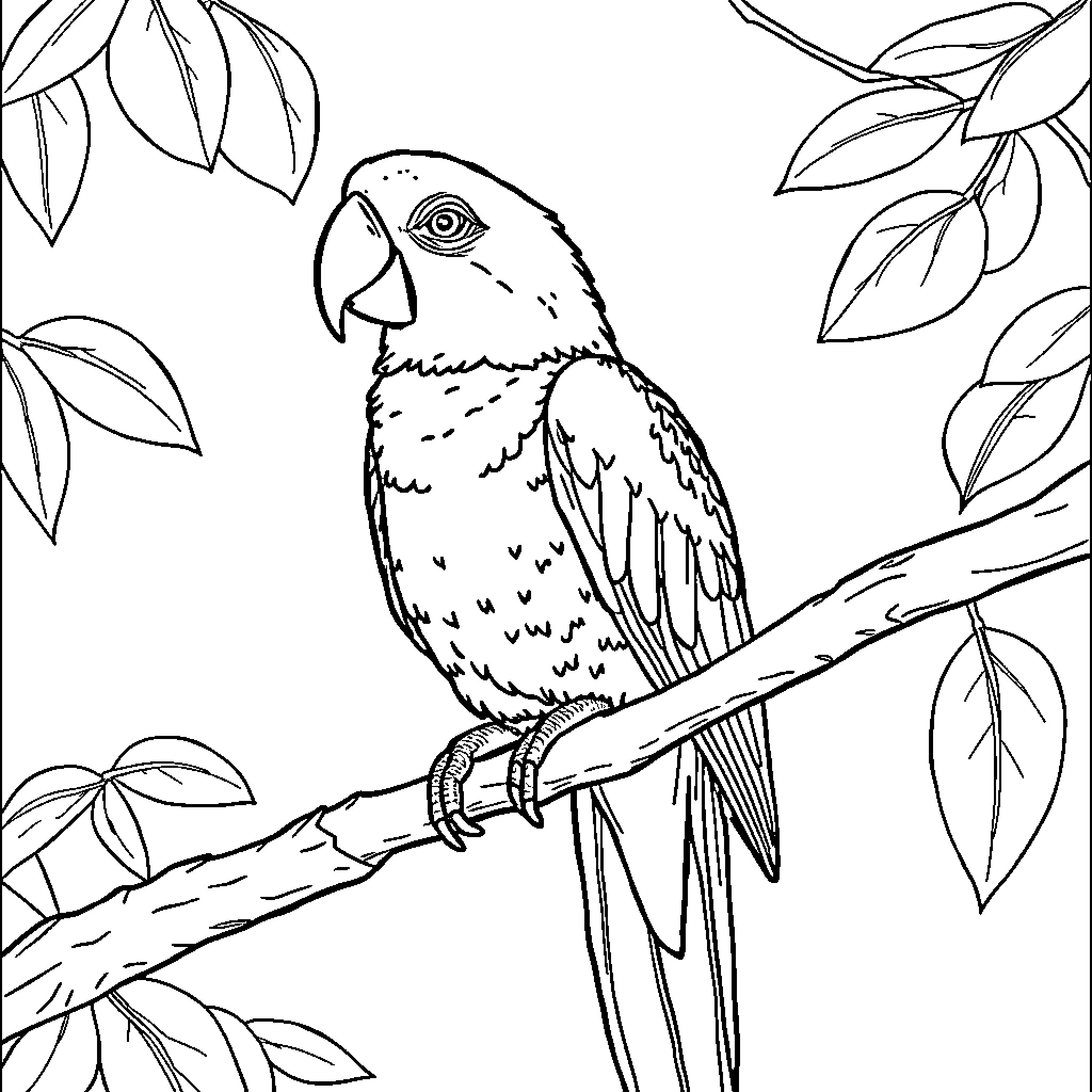 Parrot perched on a branch in the foliage Coloring Page (free black-and-white line drawing printable PDF for all, from beginners to advanced learners, including children, teens, adults, and seniors)