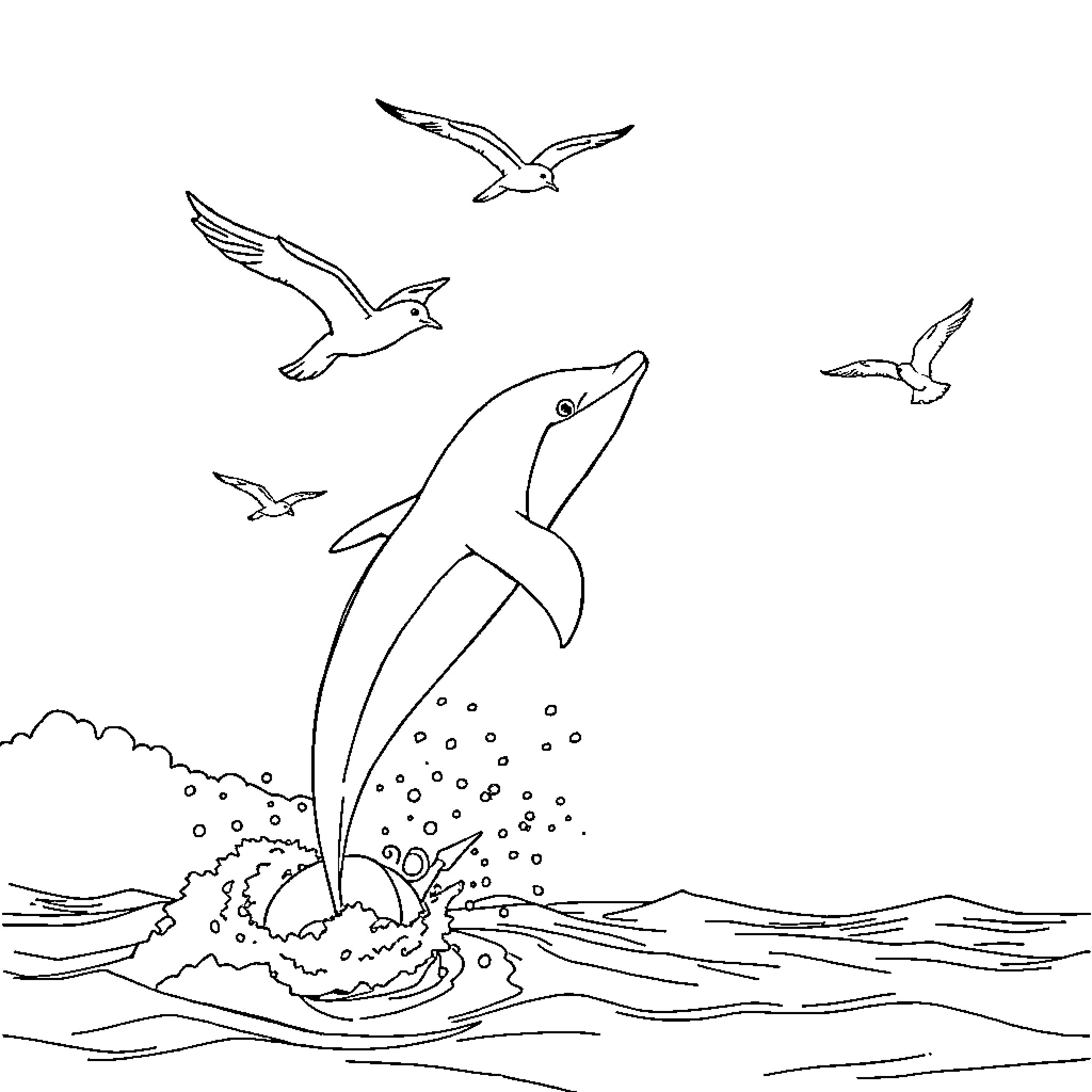 Delfin leaping out of the waves with seagulls Coloring Page (free black-and-white line drawing printable PDF for all, from beginners to advanced learners, including children, teens, adults, and seniors)