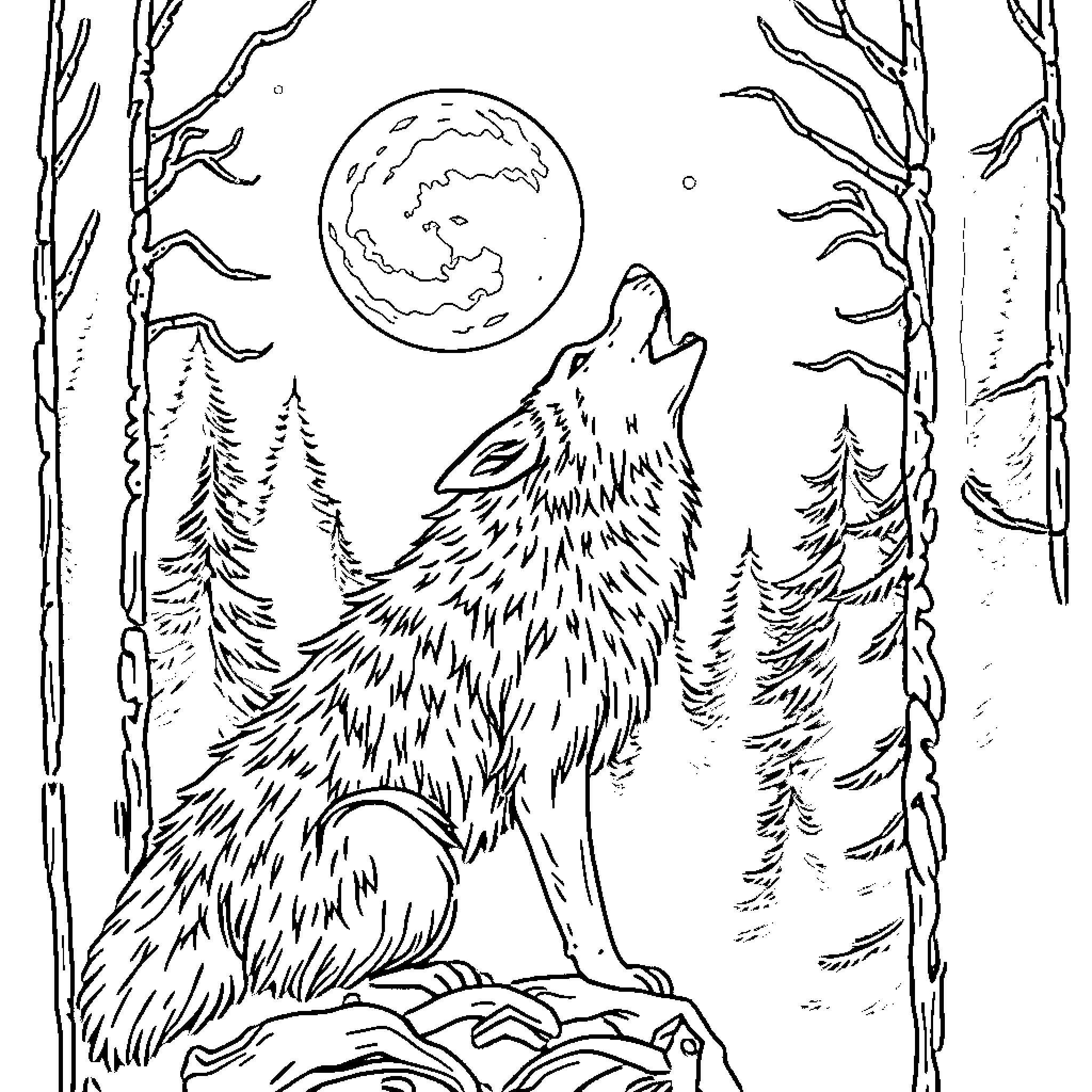 Wolf howling under the moonlight in a forest Coloring Page (free black-and-white line drawing printable PDF for all, from beginners to advanced learners, including children, teens, adults, and seniors)