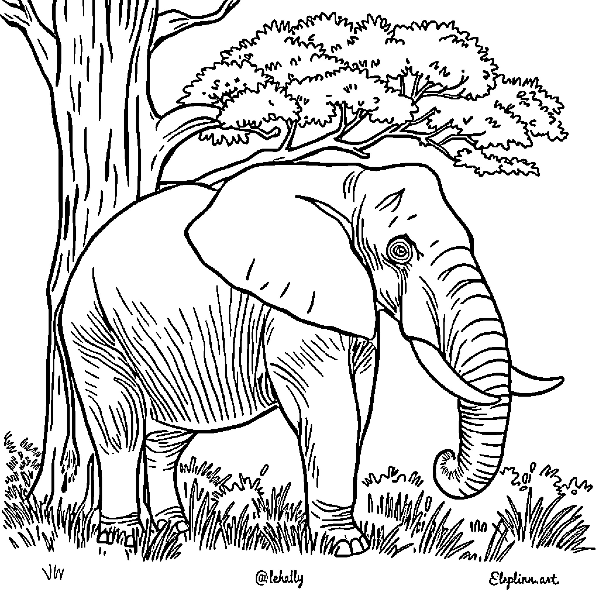 Elephant standing in the wilderness Coloring Page (free black-and-white line drawing printable PDF for all, from beginners to advanced learners, including children, teens, adults, and seniors)