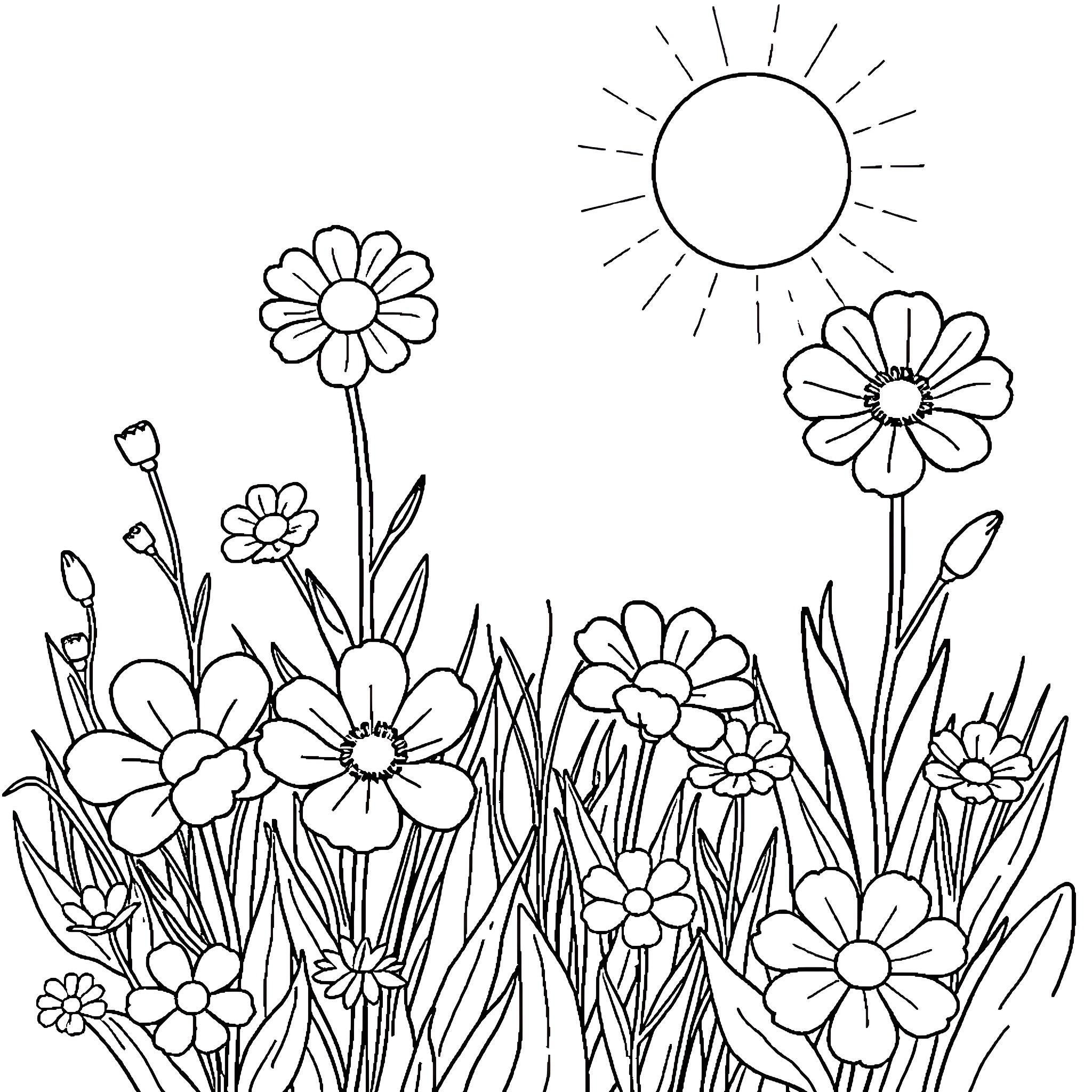 Flower garden in bright sunlight Coloring Page (free black-and-white line drawing printable PDF for all, from beginners to advanced learners, including children, teens, adults, and seniors)