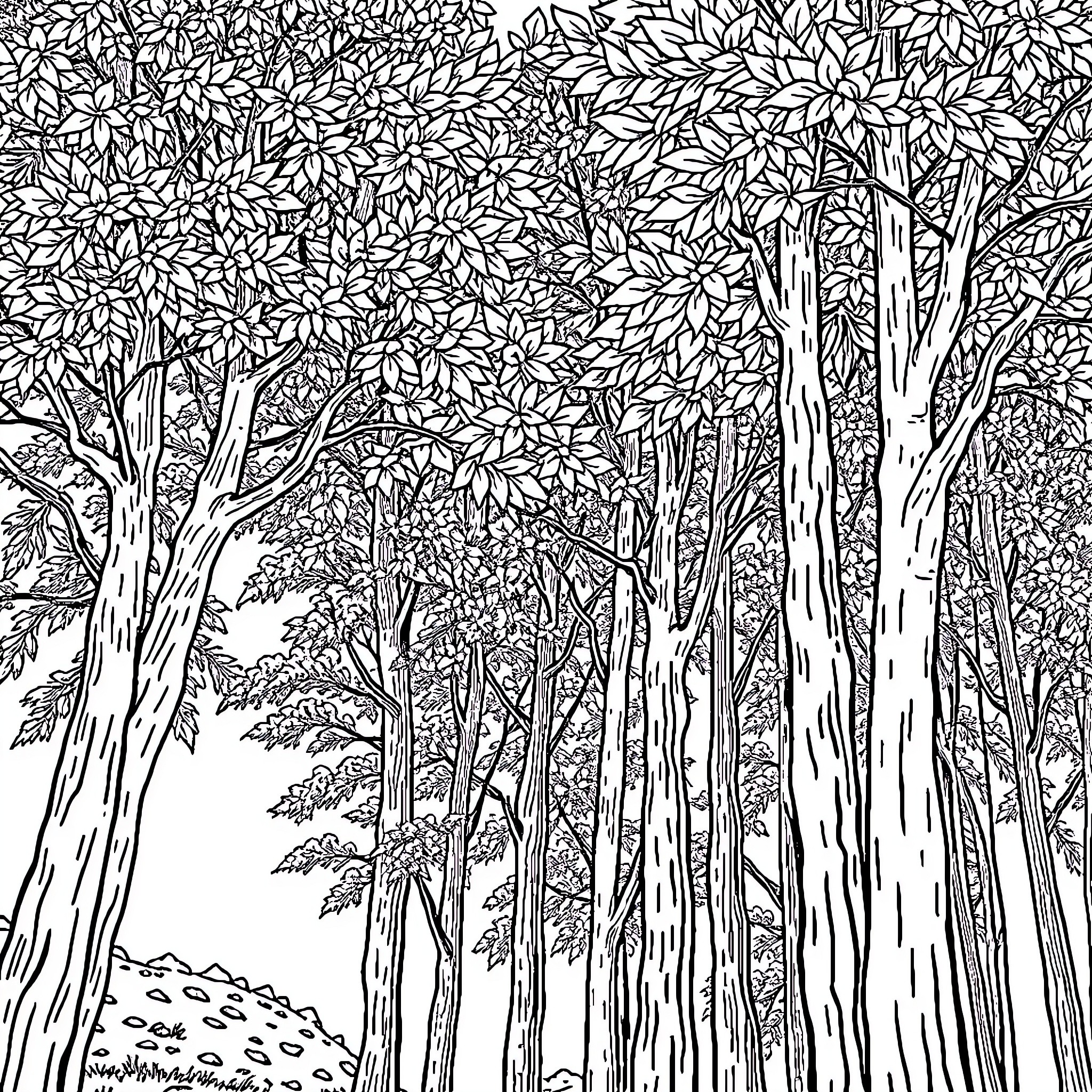 Tree-filled Forest with Intricate Foliage Coloring Page (free black-and-white line drawing printable PDF for all, from beginners to advanced learners, including children, teens, adults, and seniors)