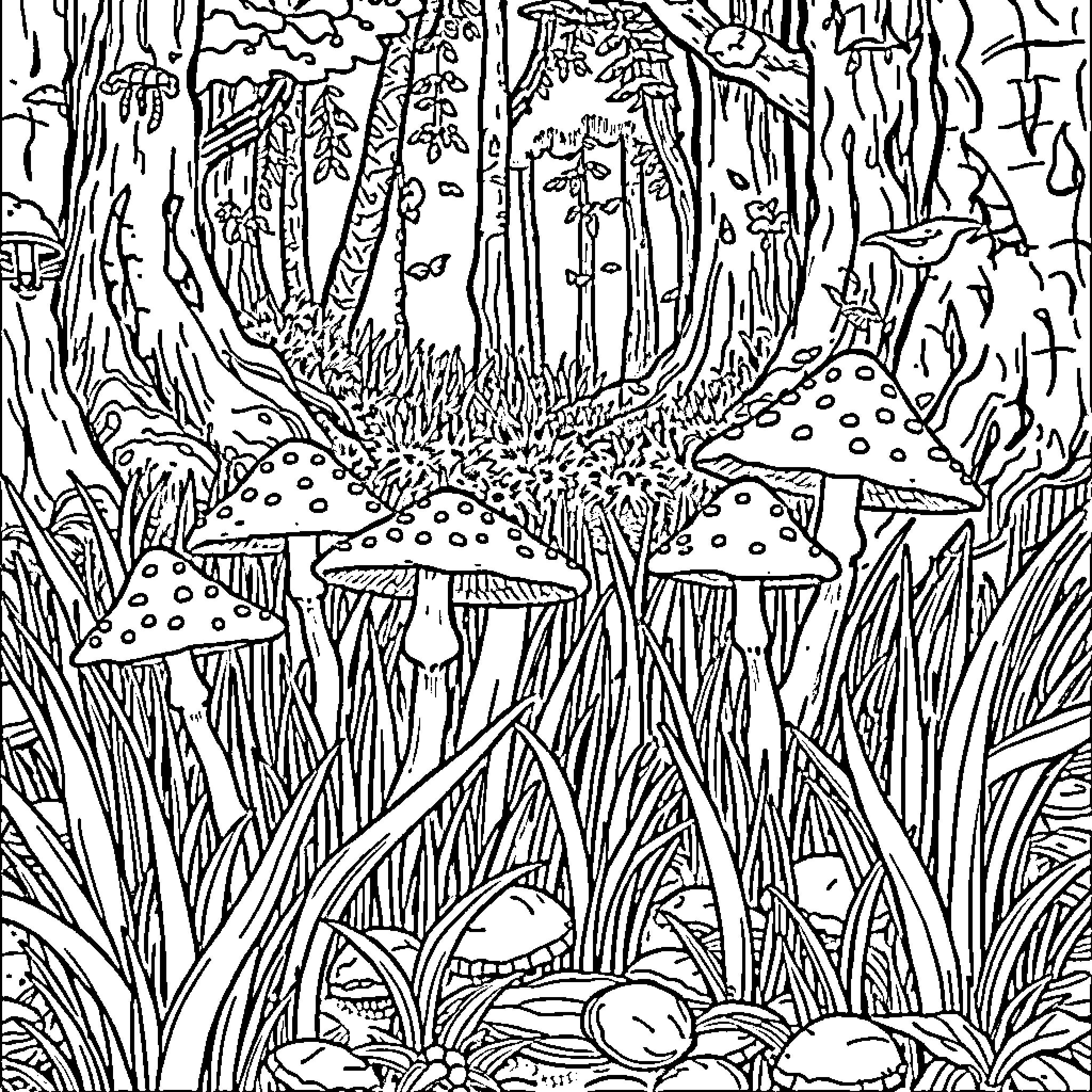 Mushroom Fantasy Forest Scene Coloring Page (free black-and-white line drawing printable PDF for all, from beginners to advanced learners, including children, teens, adults, and seniors)