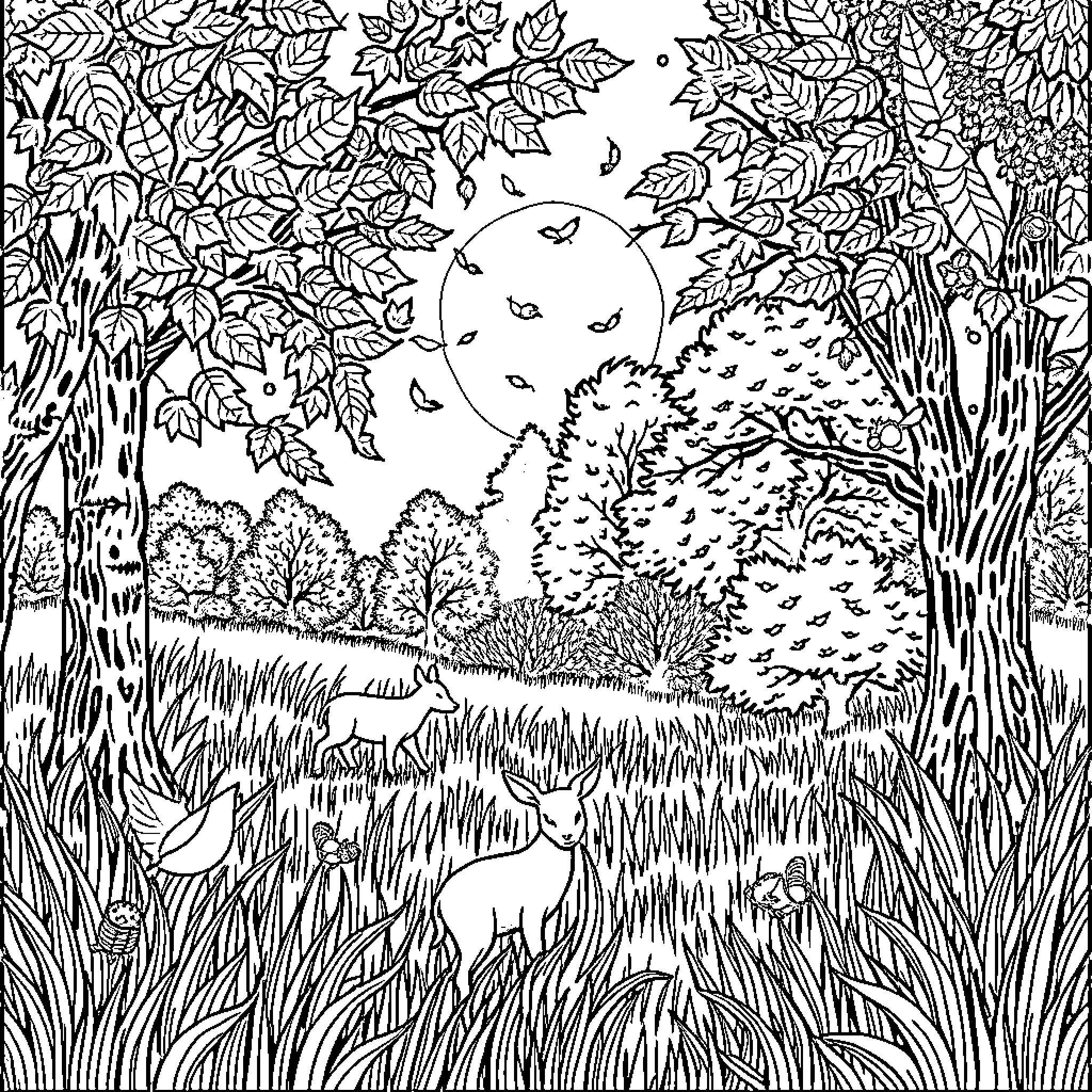 Animal Scene with Deer in Leafy Forest Landscape Coloring Page (free black-and-white line drawing printable PDF for all, from beginners to advanced learners, including children, teens, adults, and seniors)
