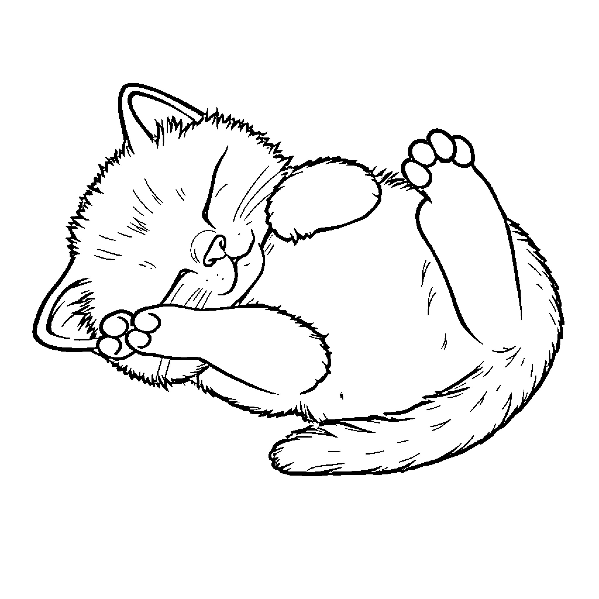 Cat curled up sleeping peacefully Coloring Page (free black-and-white line drawing printable PDF for all, from beginners to advanced learners, including children, teens, adults, and seniors)